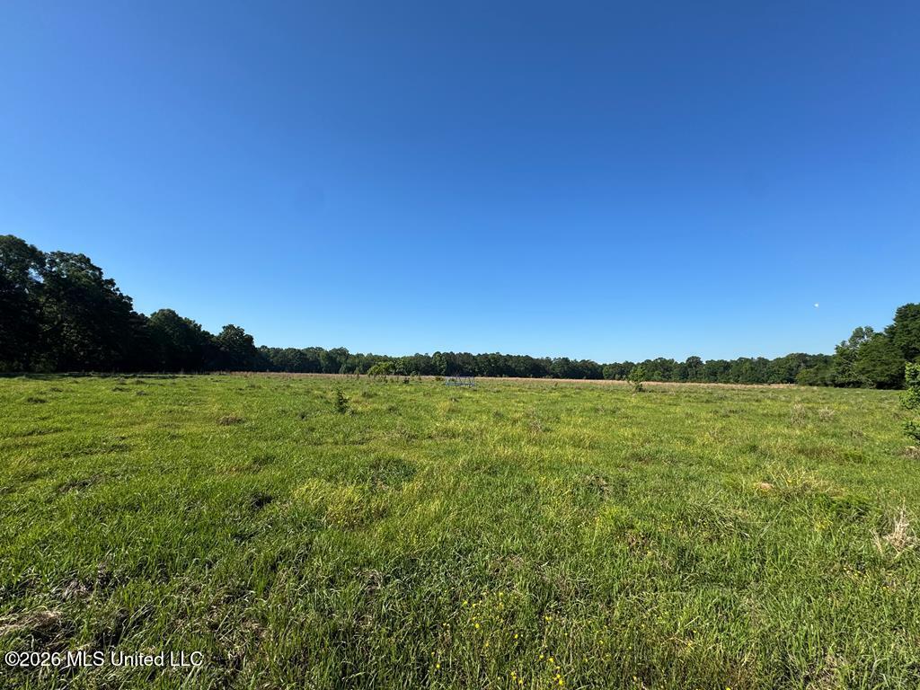 260 Mitchell Chapel Road Property Photo 15