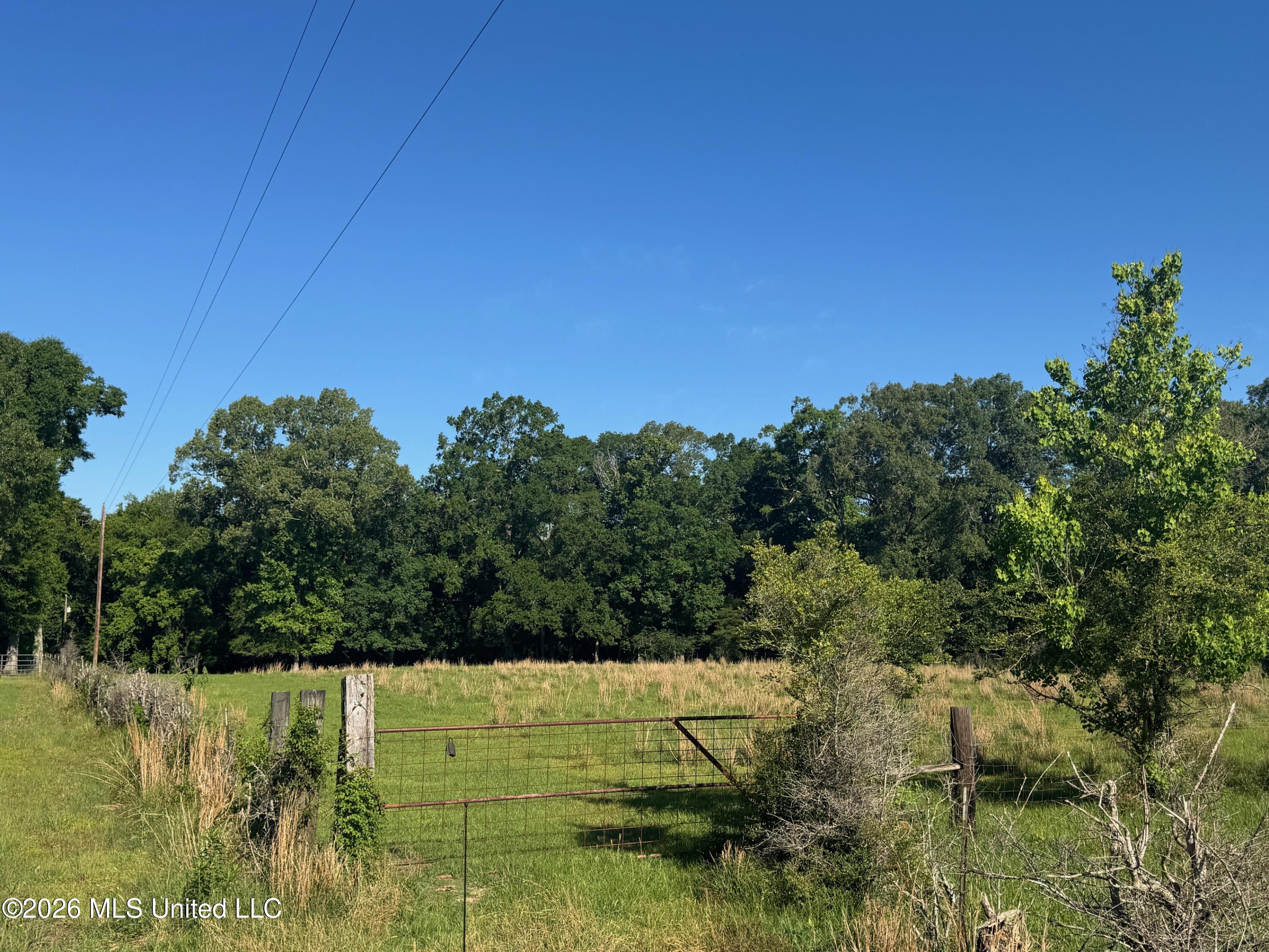 260 Mitchell Chapel Road Property Photo 16