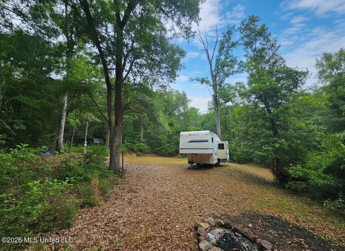 222 Lavelle Odom Road Property Photo 4