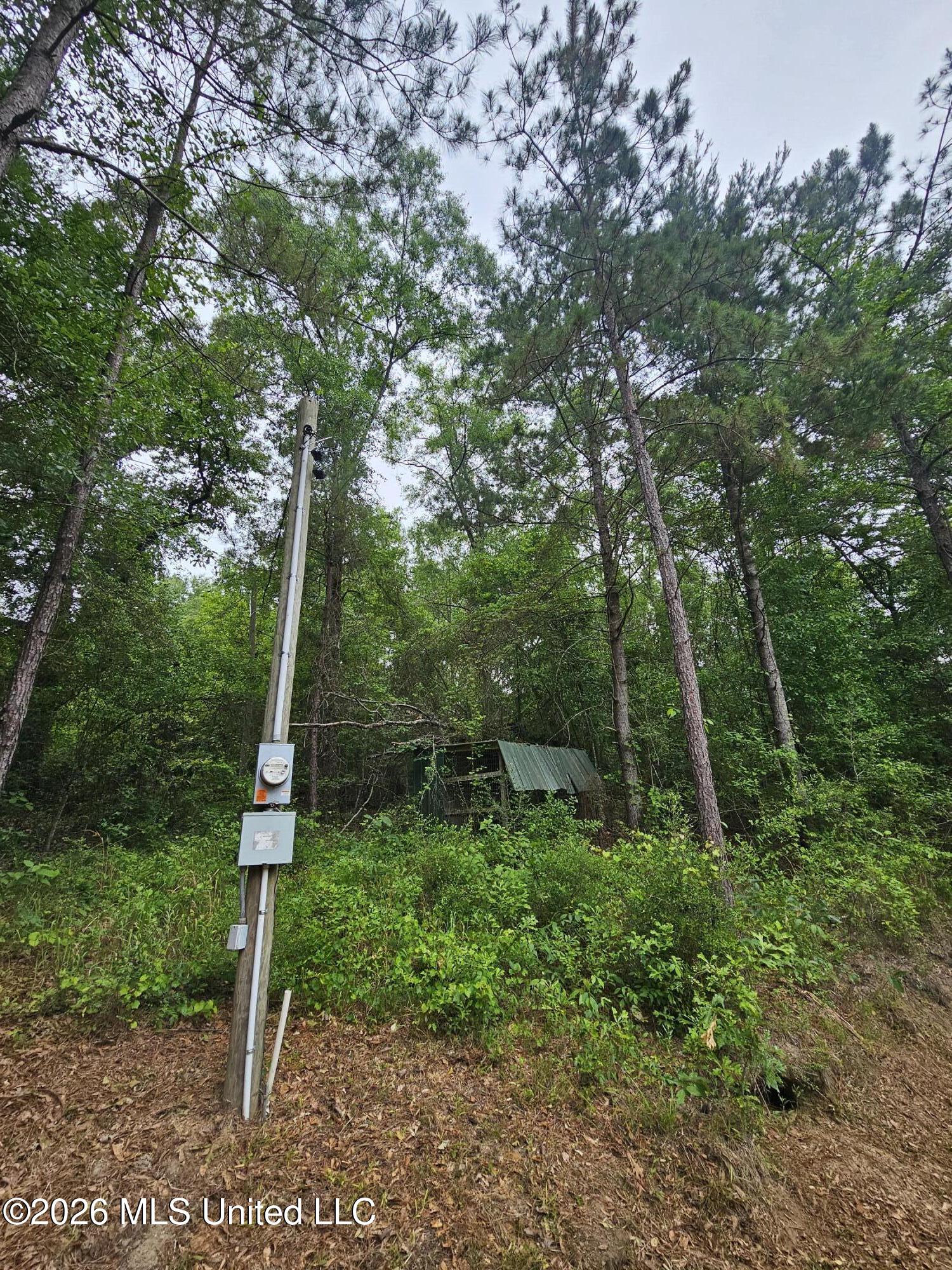 222 Lavelle Odom Road Property Photo 7