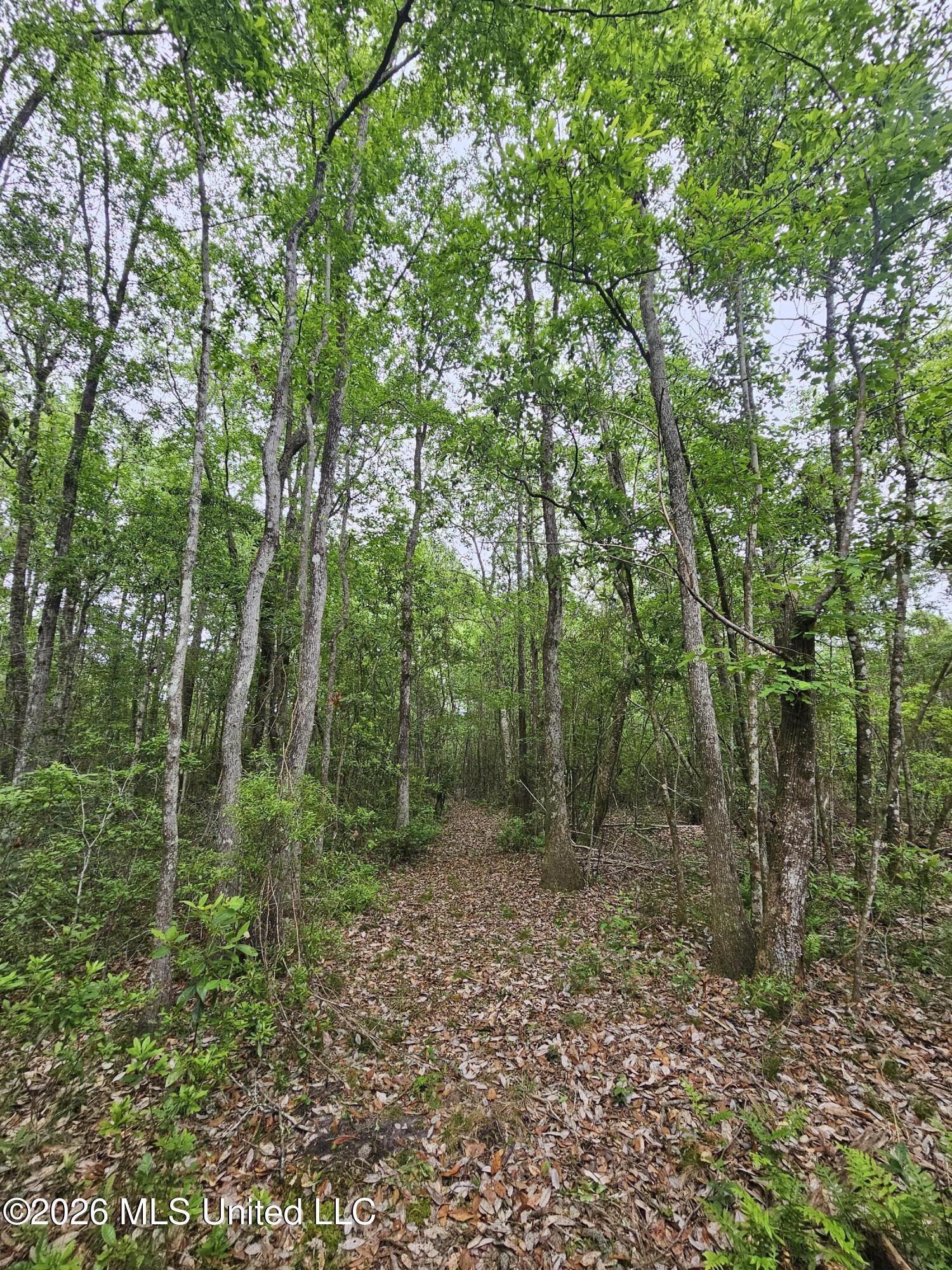 222 Lavelle Odom Road Property Photo 10