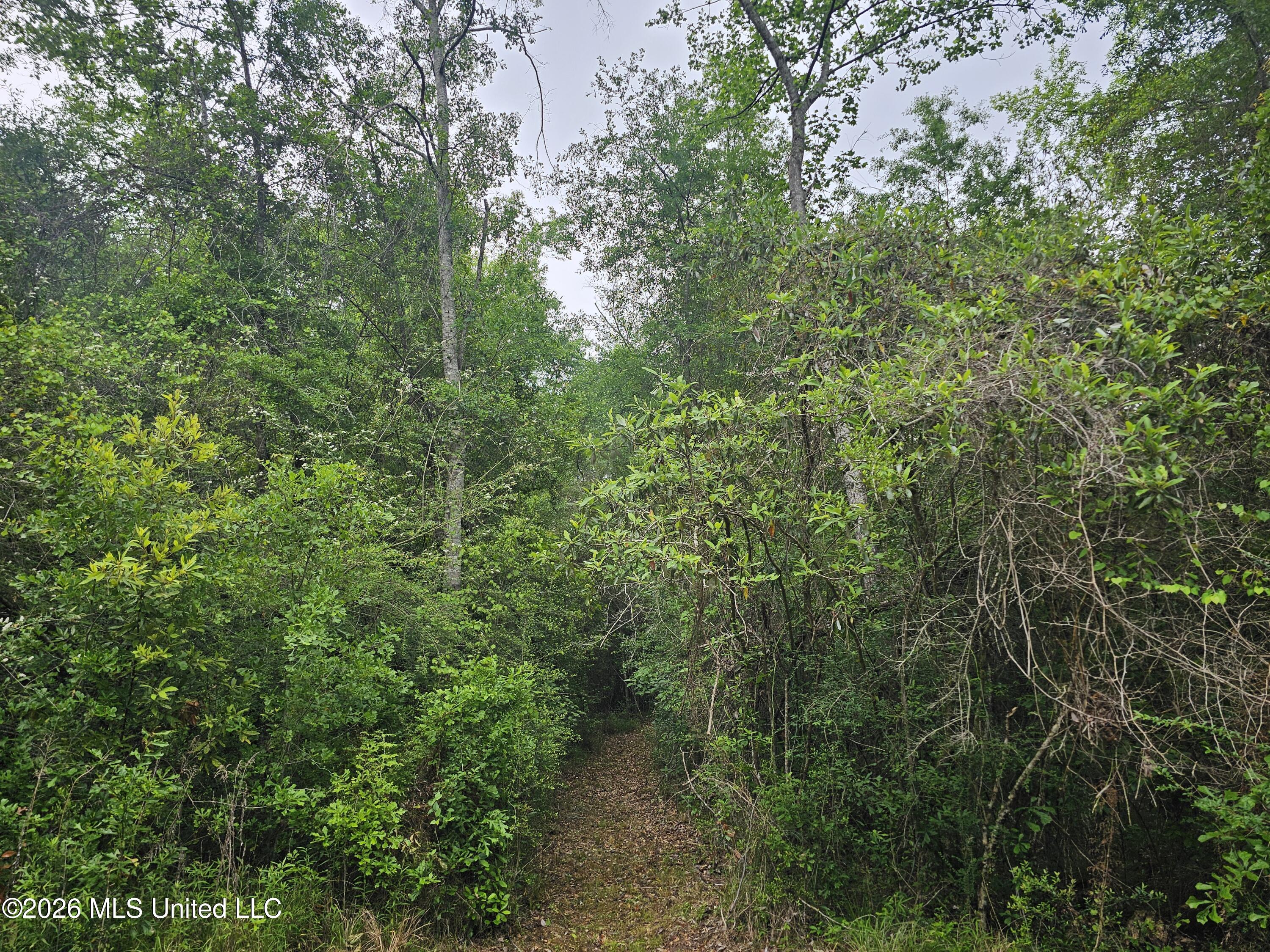 222 Lavelle Odom Road Property Photo 11