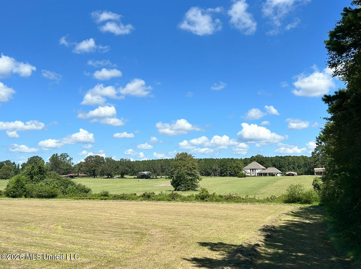 1261 Brumfield Rd. Sw Property Photo 3
