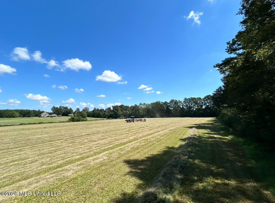 1261 Brumfield Rd. Sw Property Photo 6