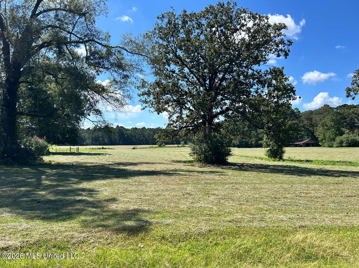 1261 Brumfield Rd. Sw Property Photo 18