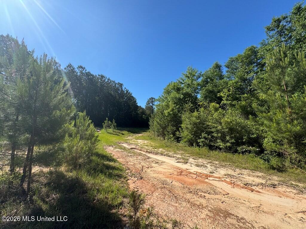 Hwy 43 Property Photo 2