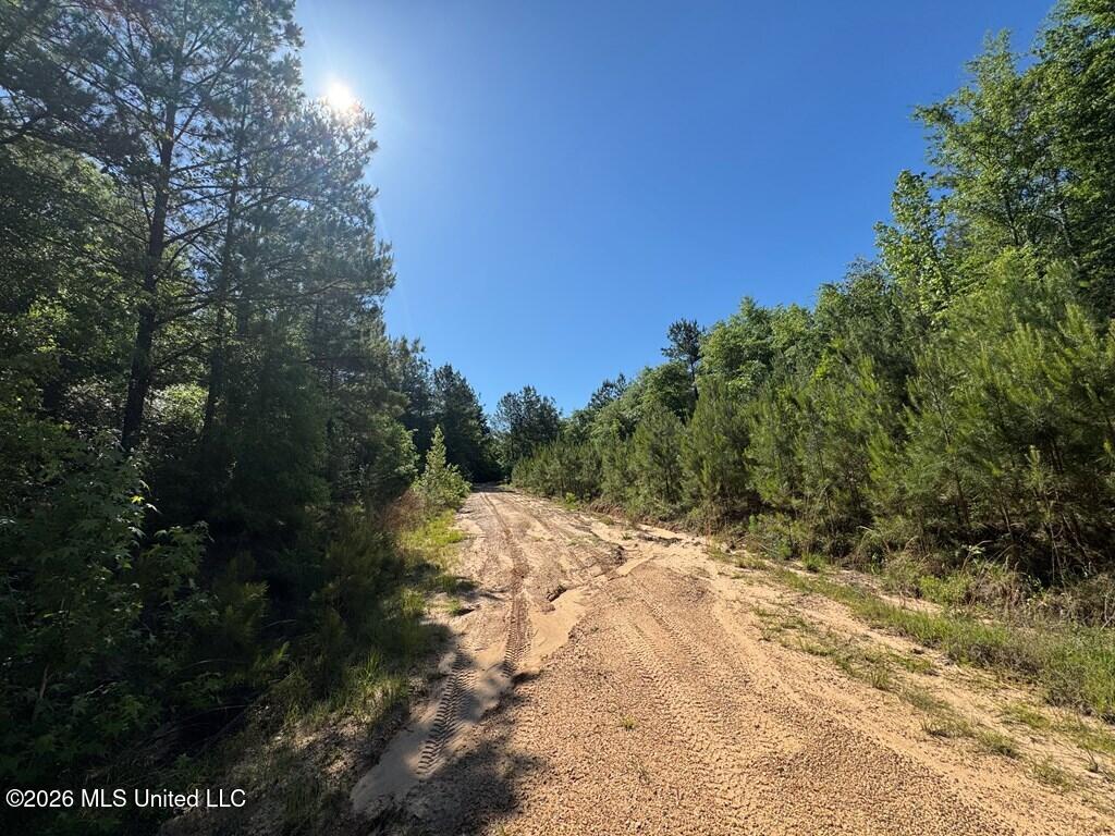 Hwy 43 Property Photo 3