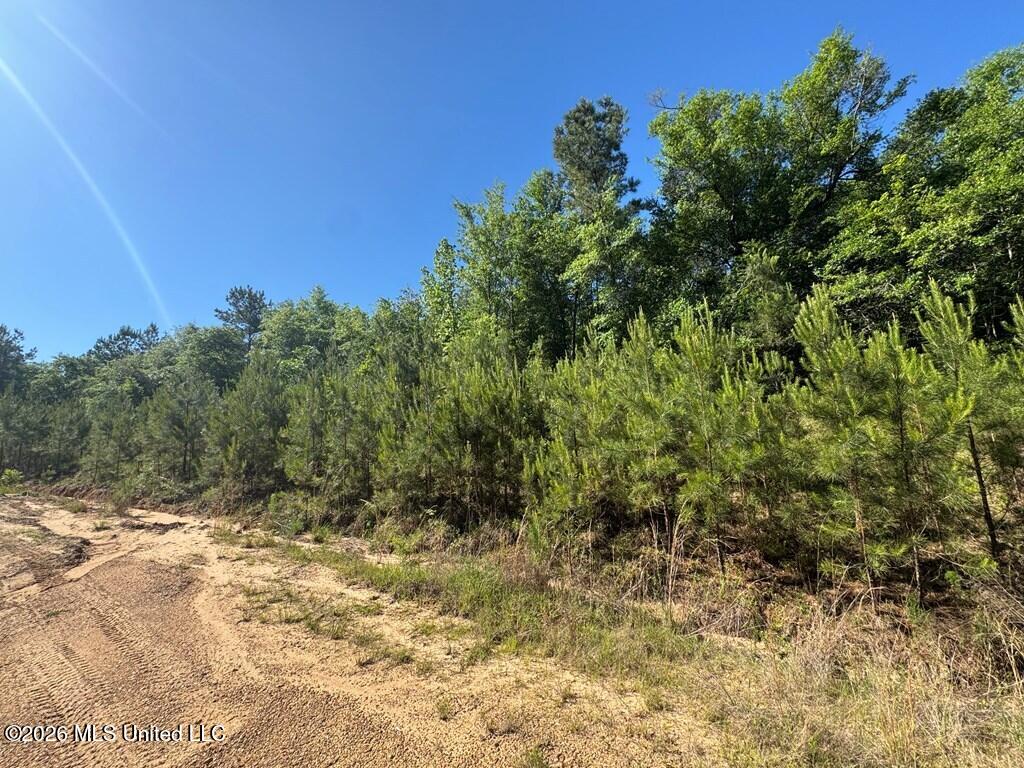 Hwy 43 Property Photo 4