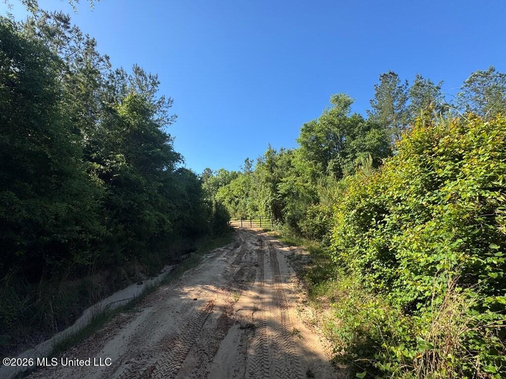 Hwy 43 Property Photo 5