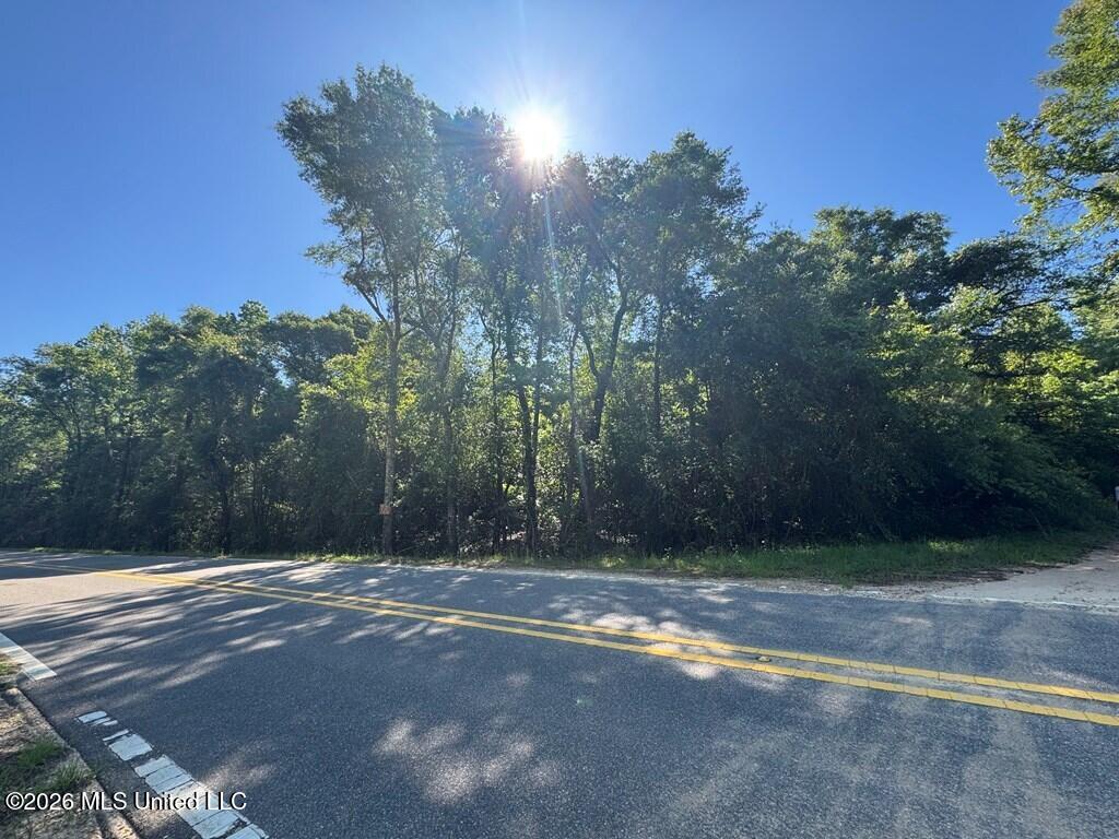 Hwy 43 Property Photo 6