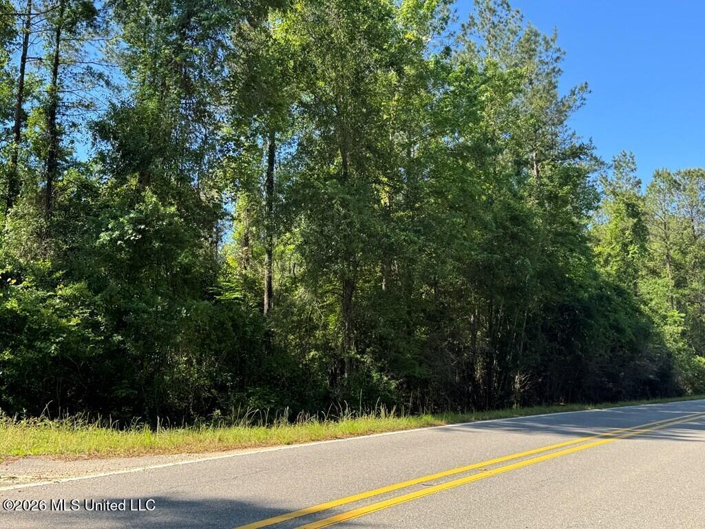 Hwy 43 Property Photo 7