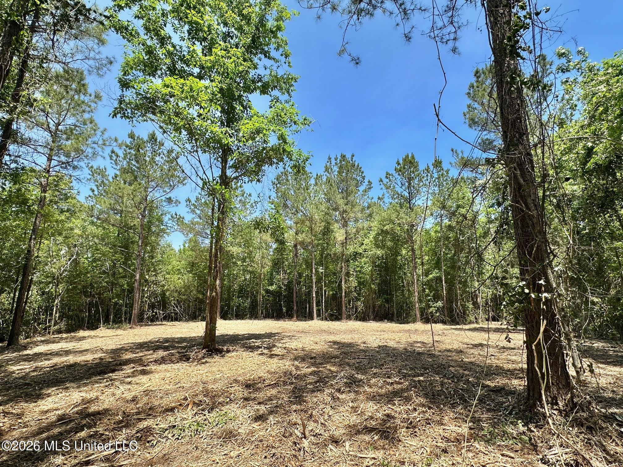 0 Mcnair Springs Road Property Photo 8