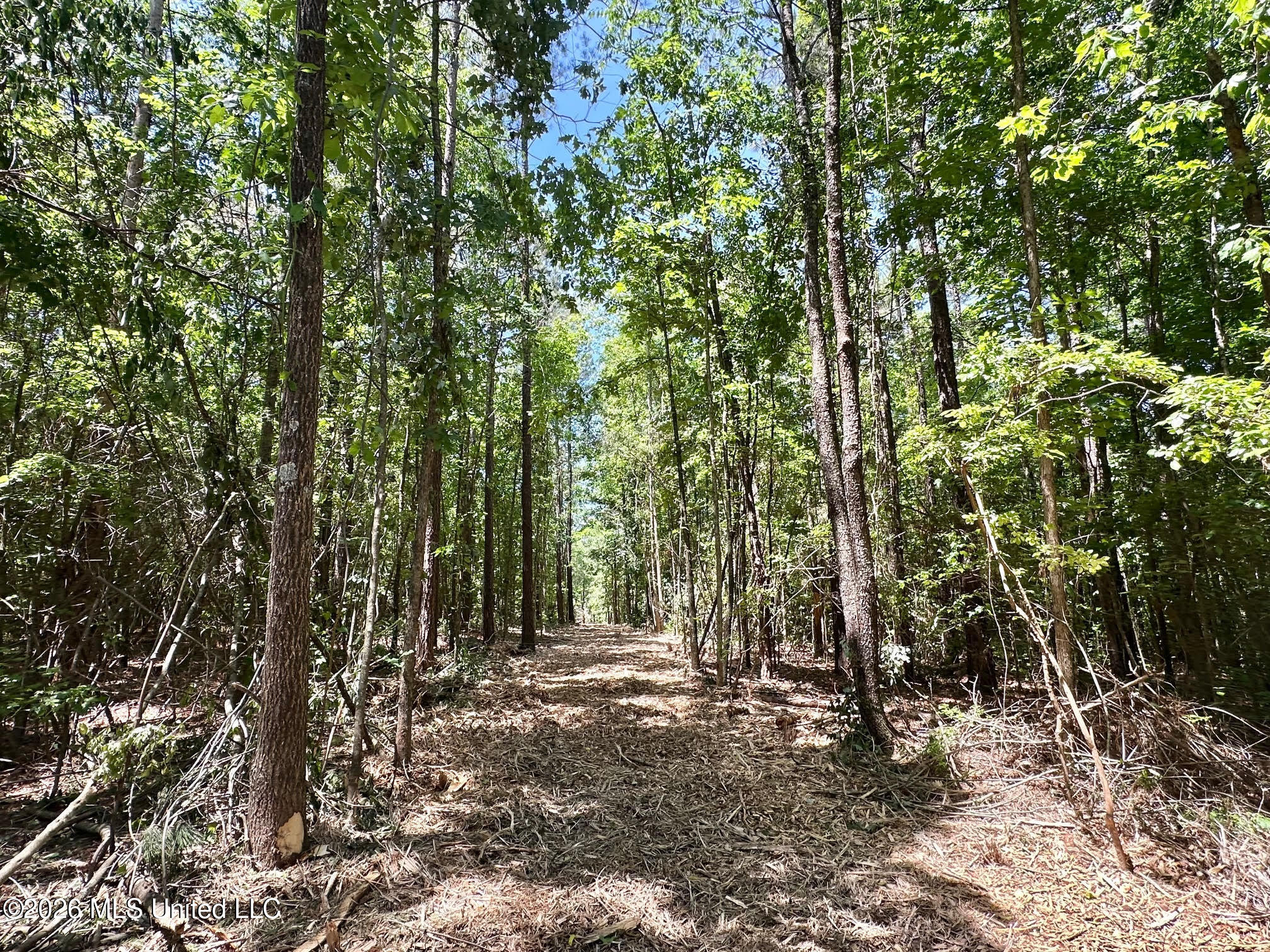 0 Mcnair Springs Road Property Photo 11