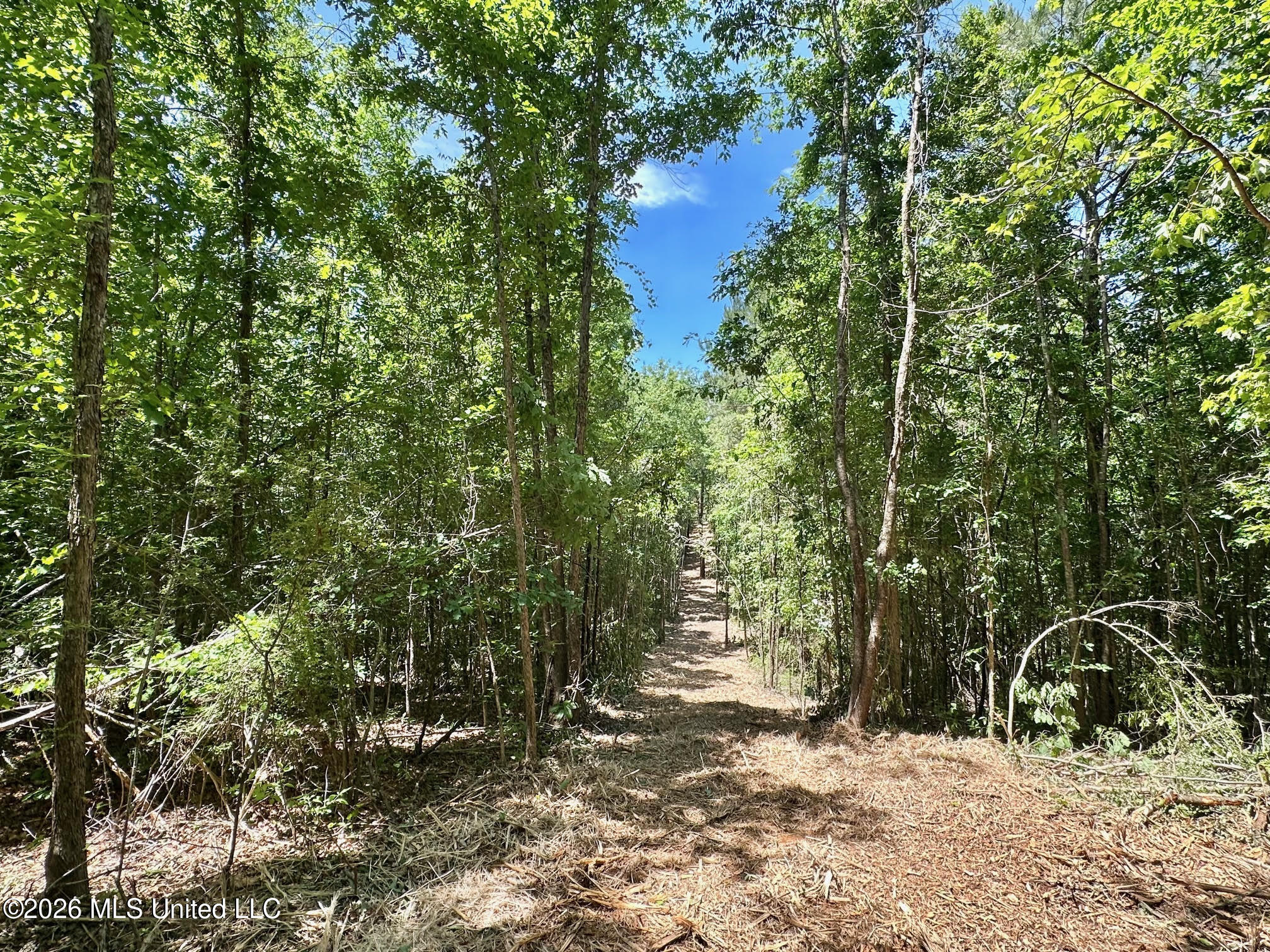 0 Mcnair Springs Road Property Photo 13