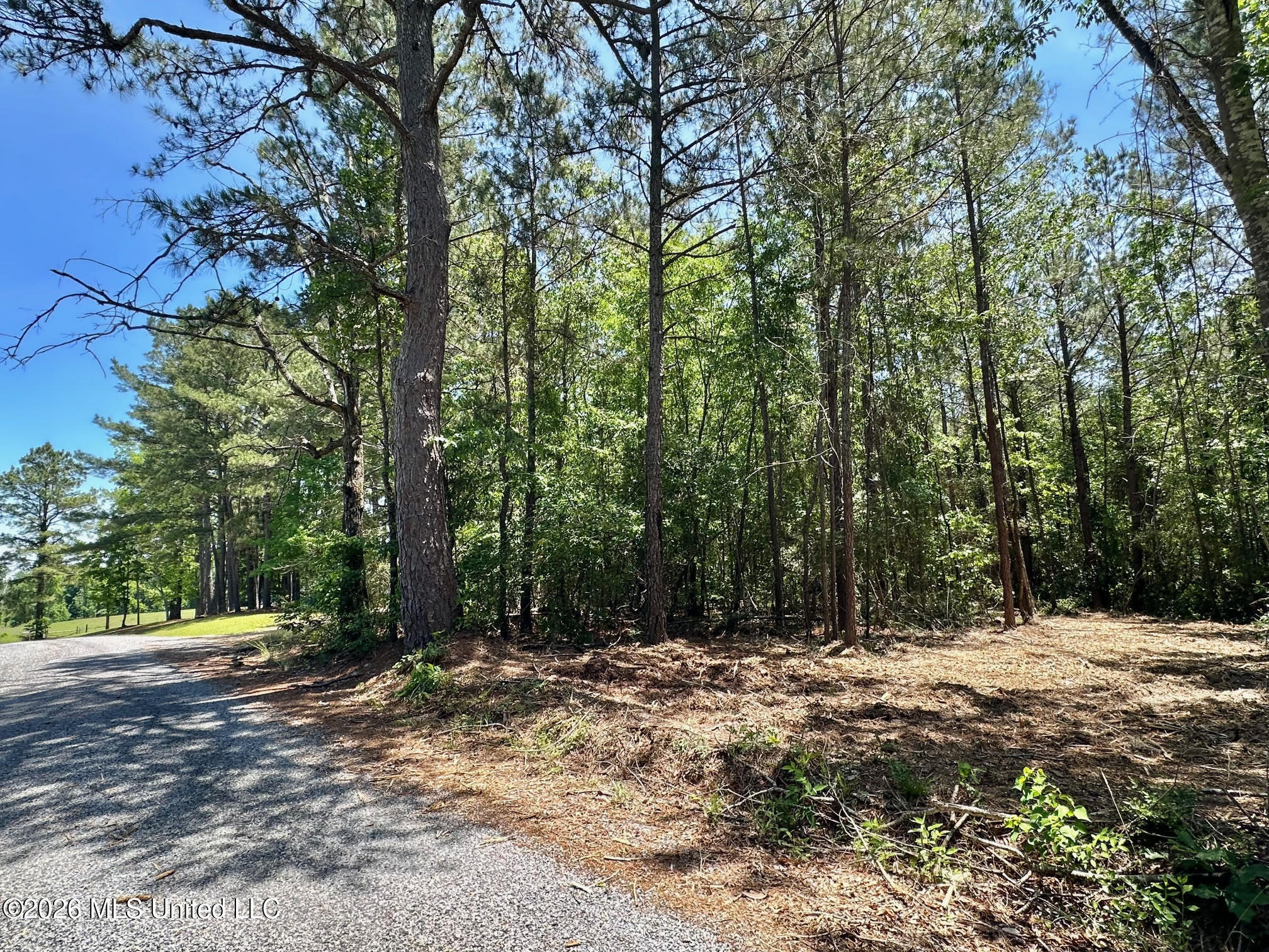 0 Mcnair Springs Road Property Photo 16