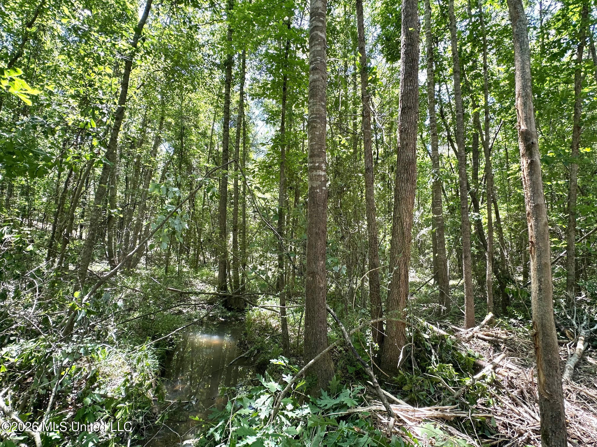 0 Mcnair Springs Road Property Photo 18