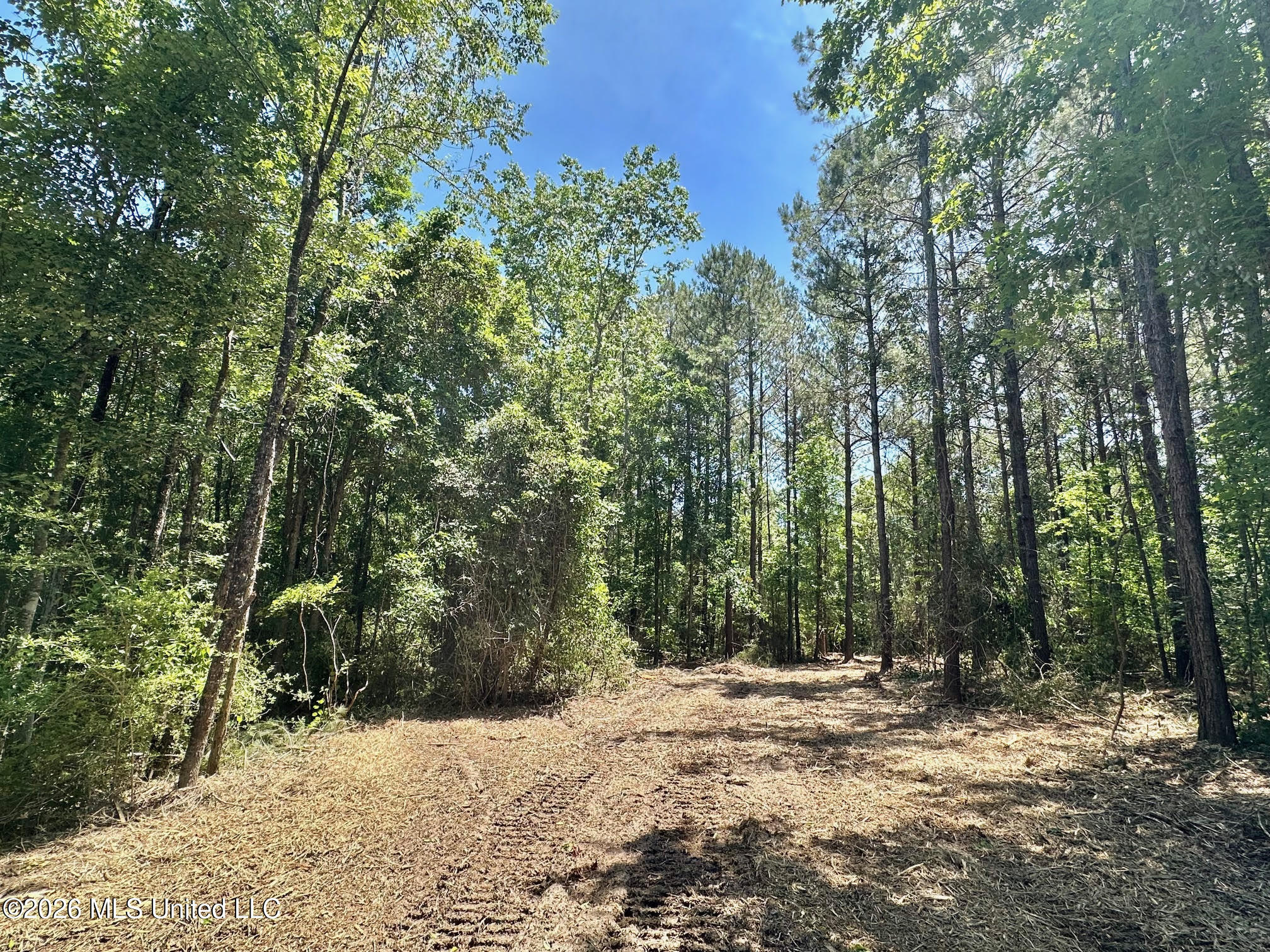 1 Mcnair Springs Road Property Photo 2