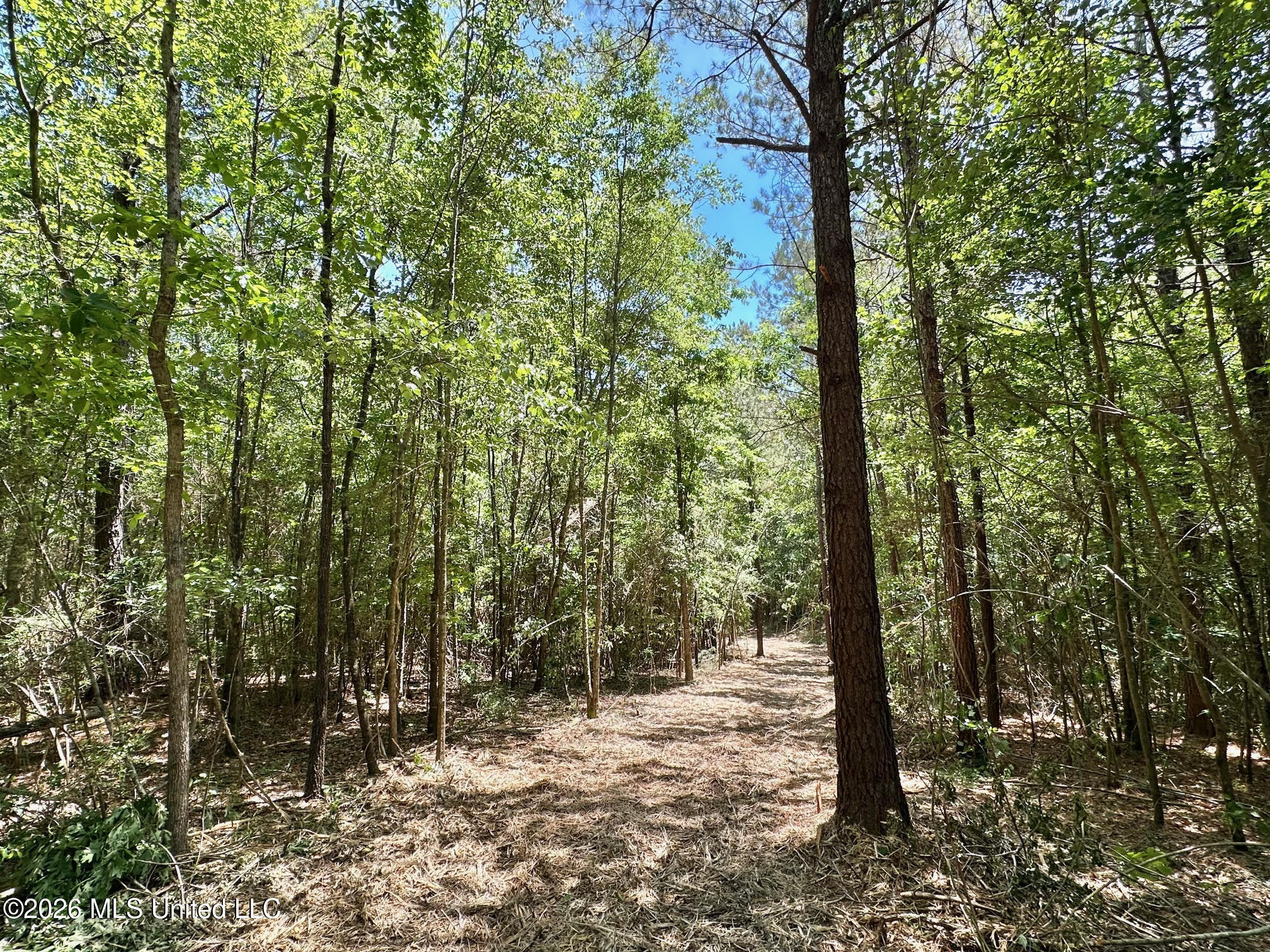 1 Mcnair Springs Road Property Photo 3