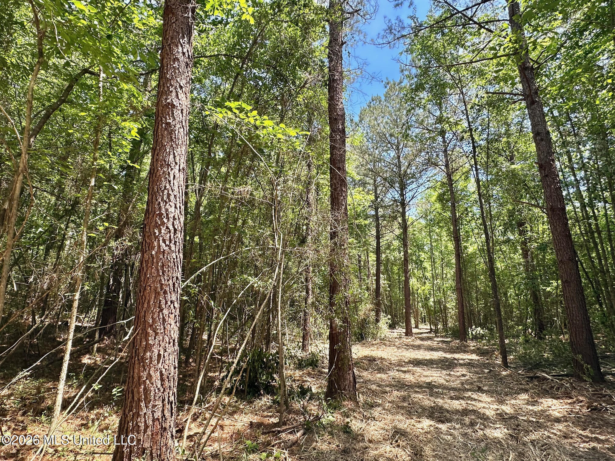 1 Mcnair Springs Road Property Photo 4