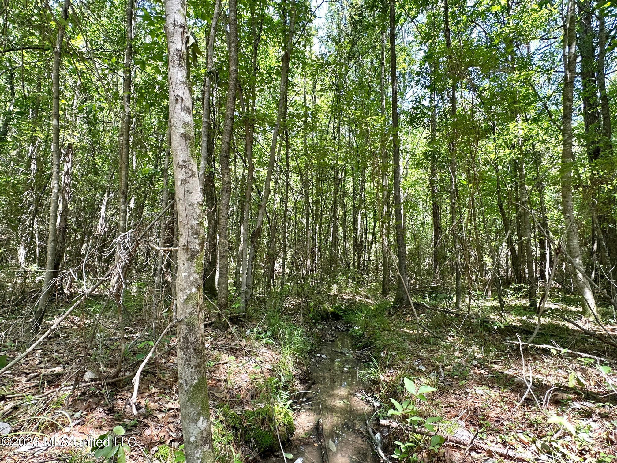 1 Mcnair Springs Road Property Photo 5