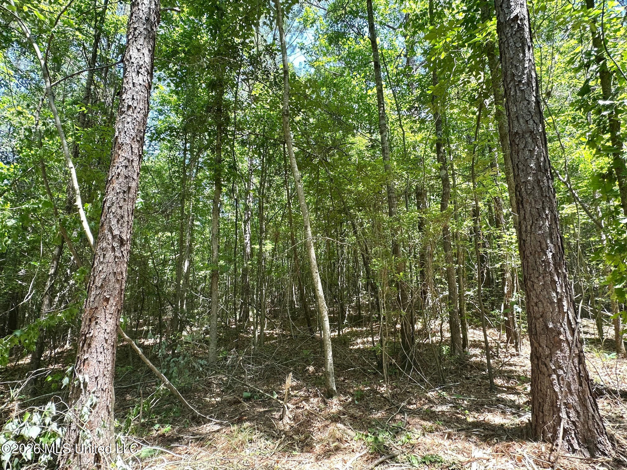 1 Mcnair Springs Road Property Photo 6