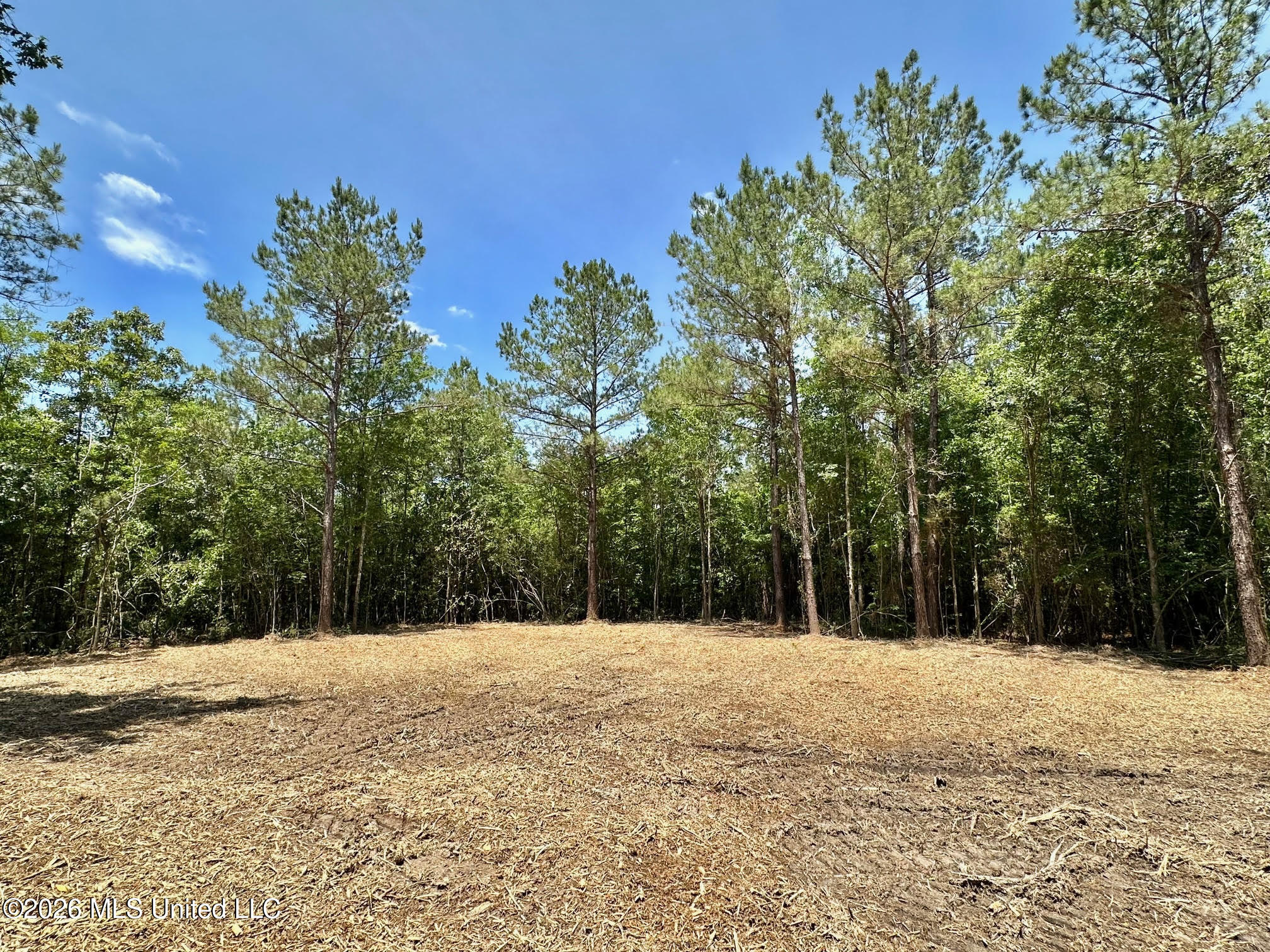 1 Mcnair Springs Road Property Photo 8