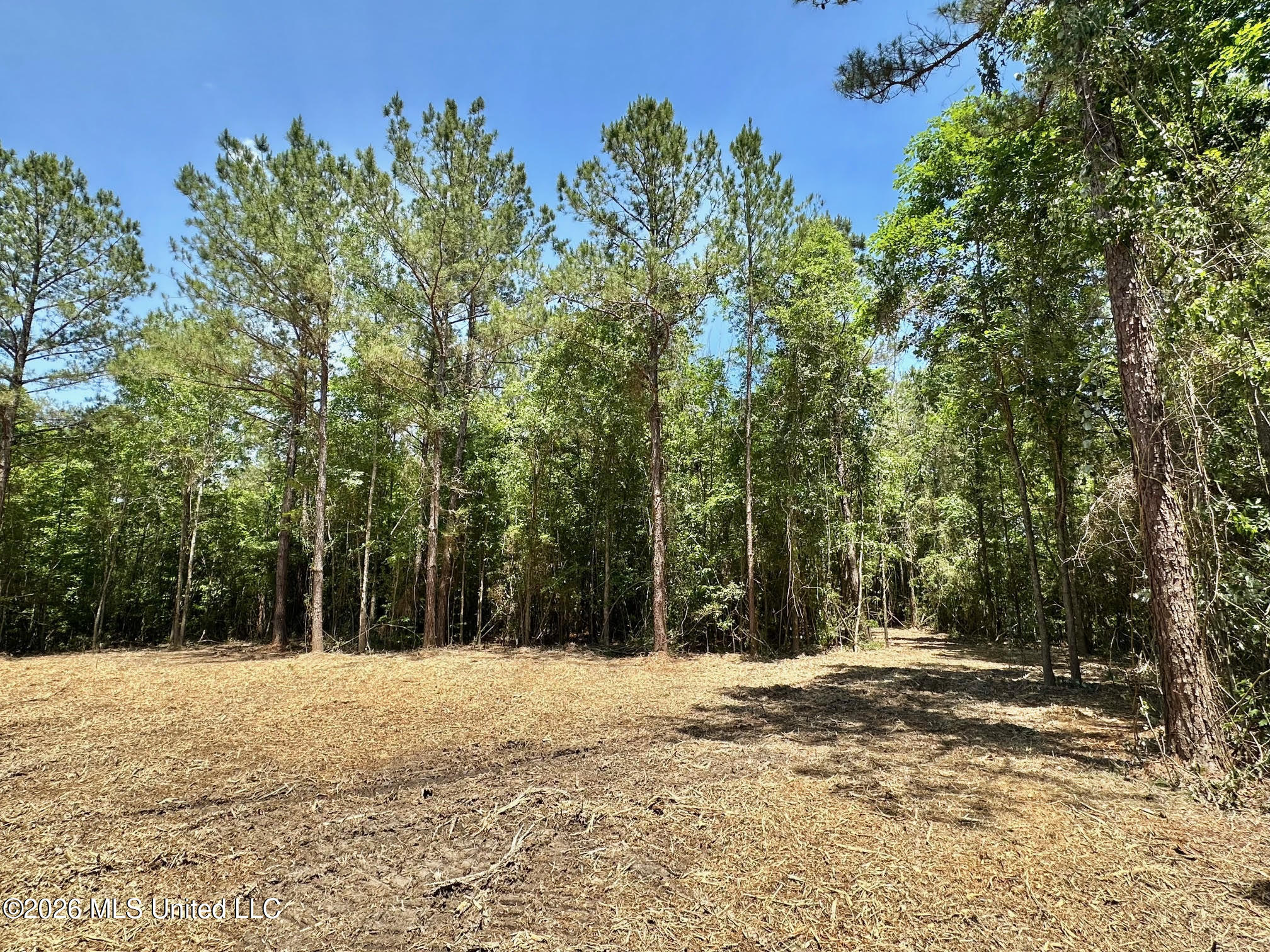 1 Mcnair Springs Road Property Photo 9