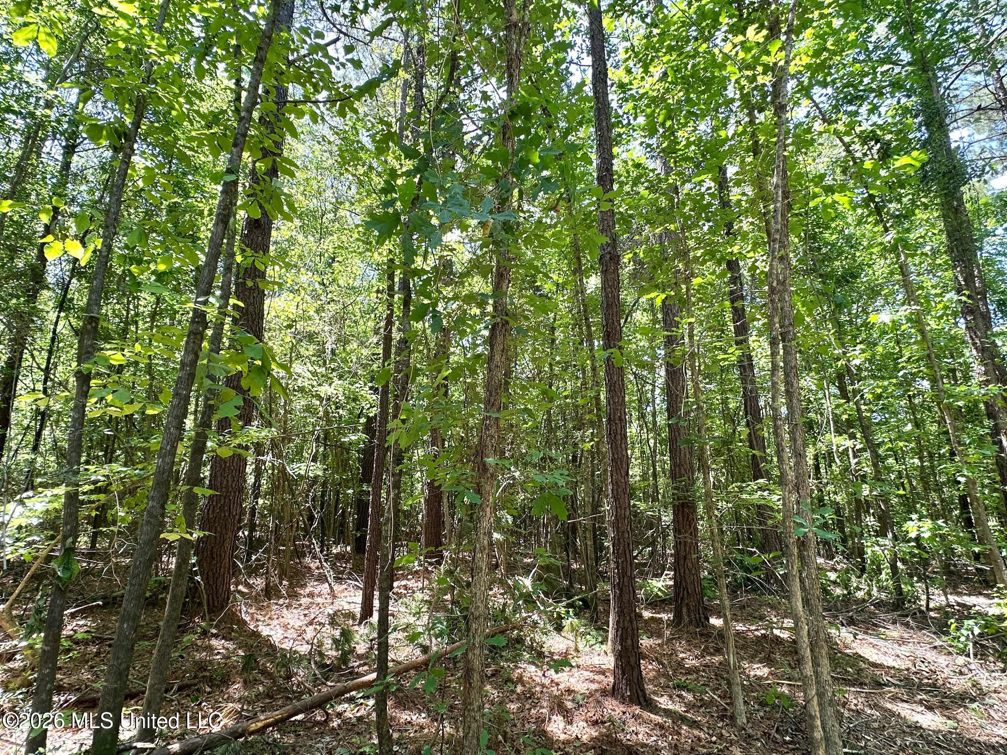 1 Mcnair Springs Road Property Photo 11
