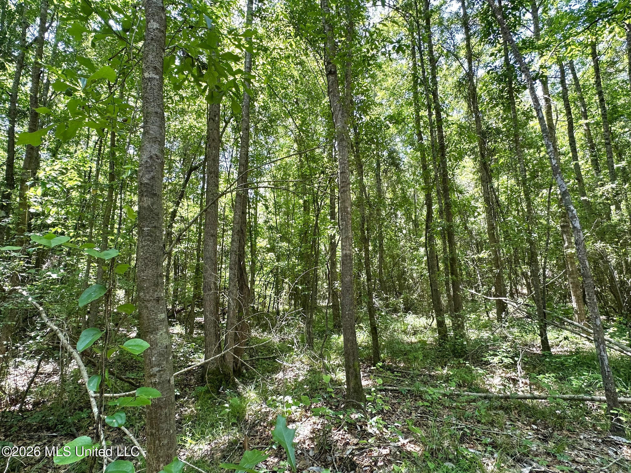 1 Mcnair Springs Road Property Photo 13