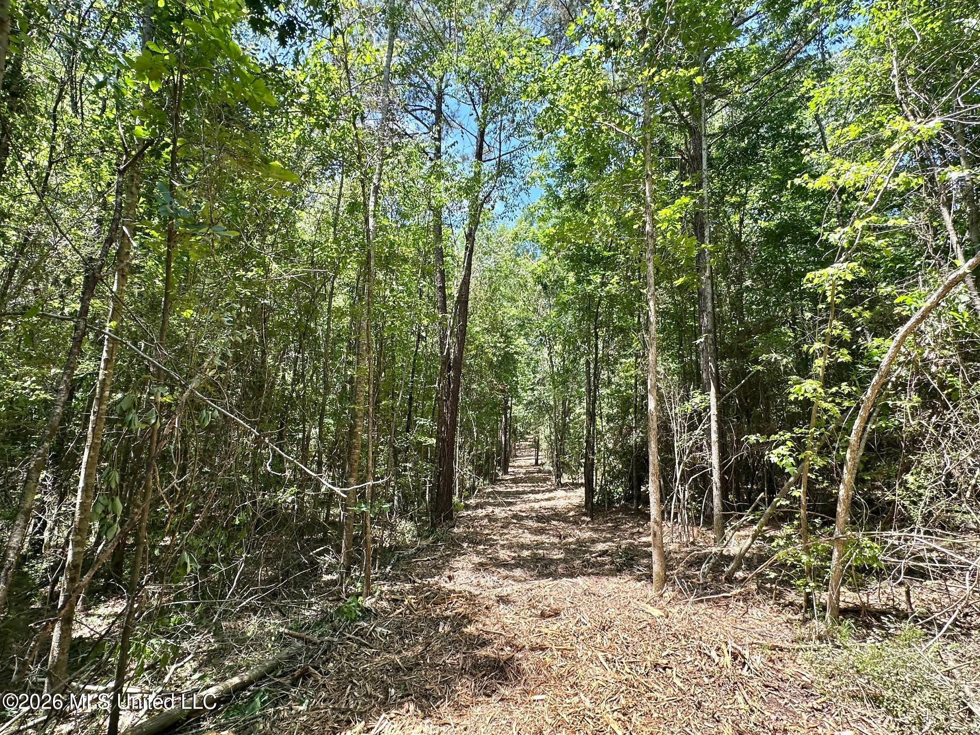 1 Mcnair Springs Road Property Photo 14