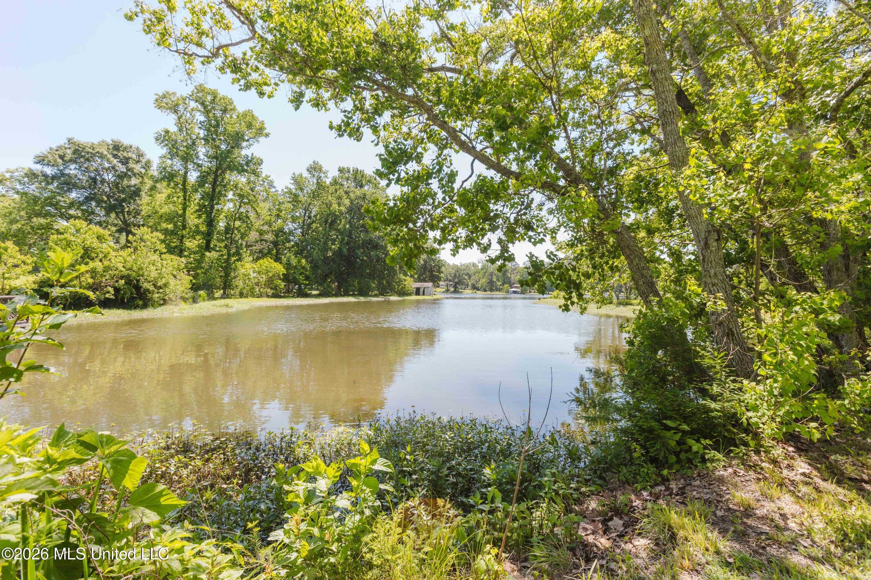 3830 Forest Hill Road Property Photo 46