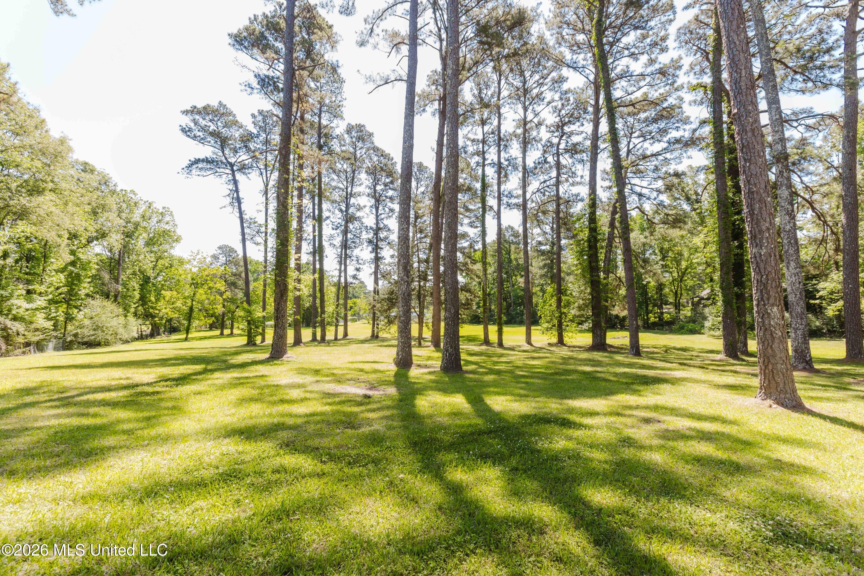 3830 Forest Hill Road Property Photo 48