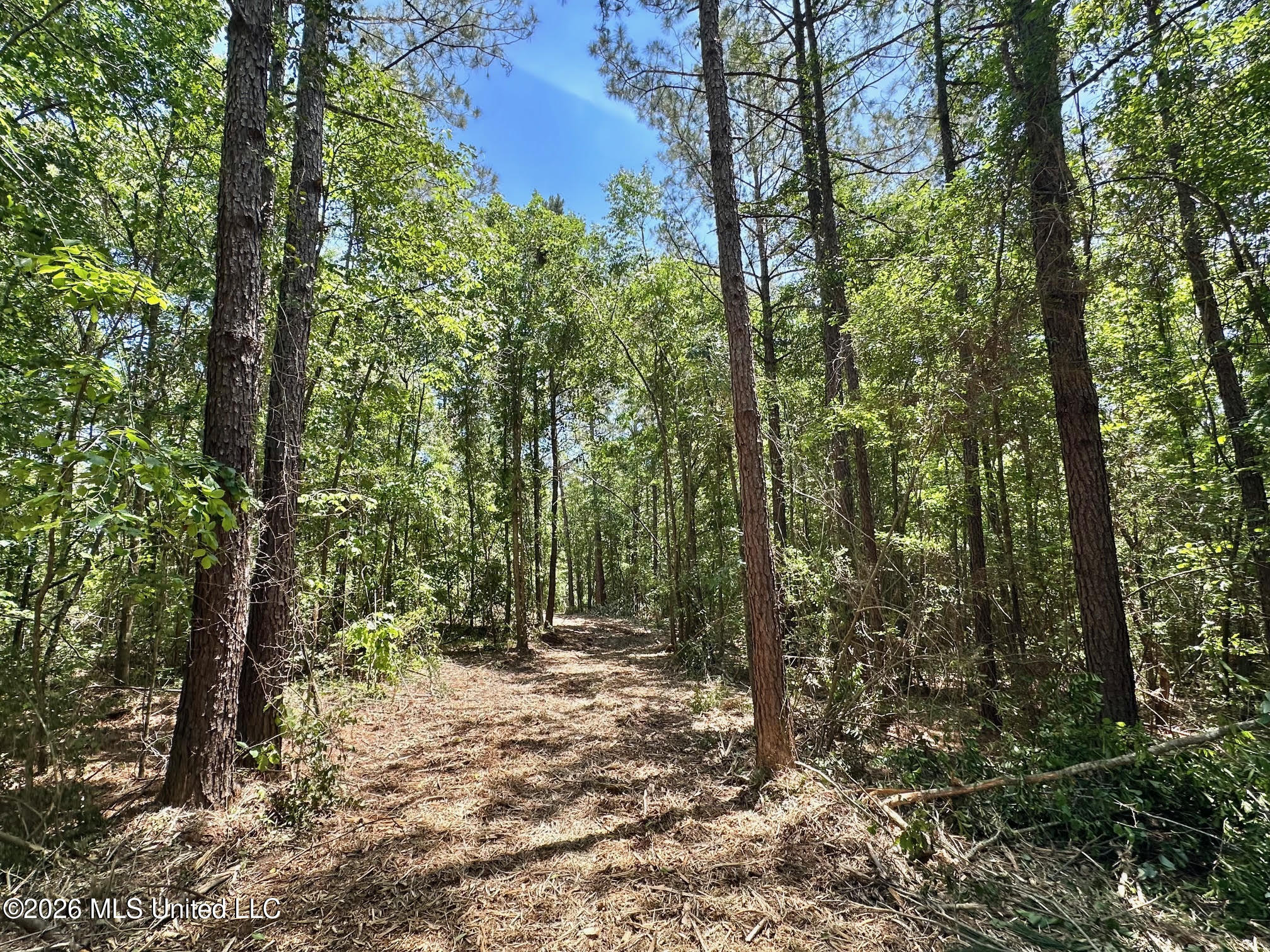 2 Mcnair Springs Road Property Photo 1
