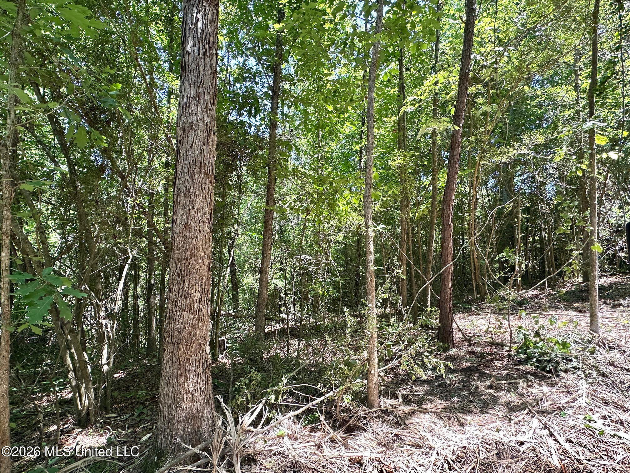 2 Mcnair Springs Road Property Photo 6