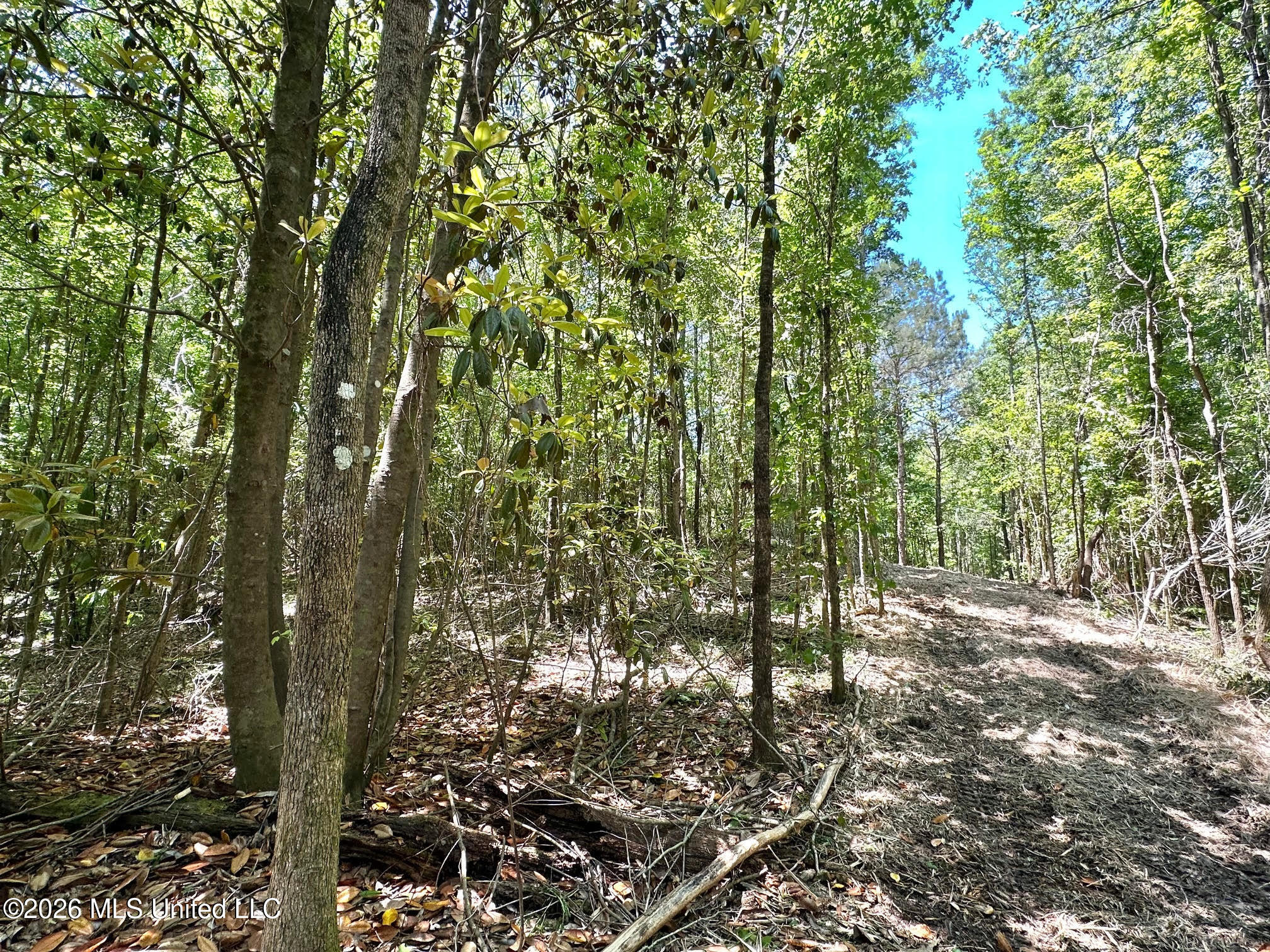 2 Mcnair Springs Road Property Photo 7
