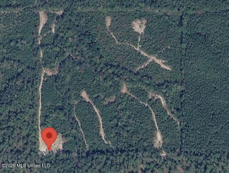 40 Acres Forestry Road 356 Property Photo 1