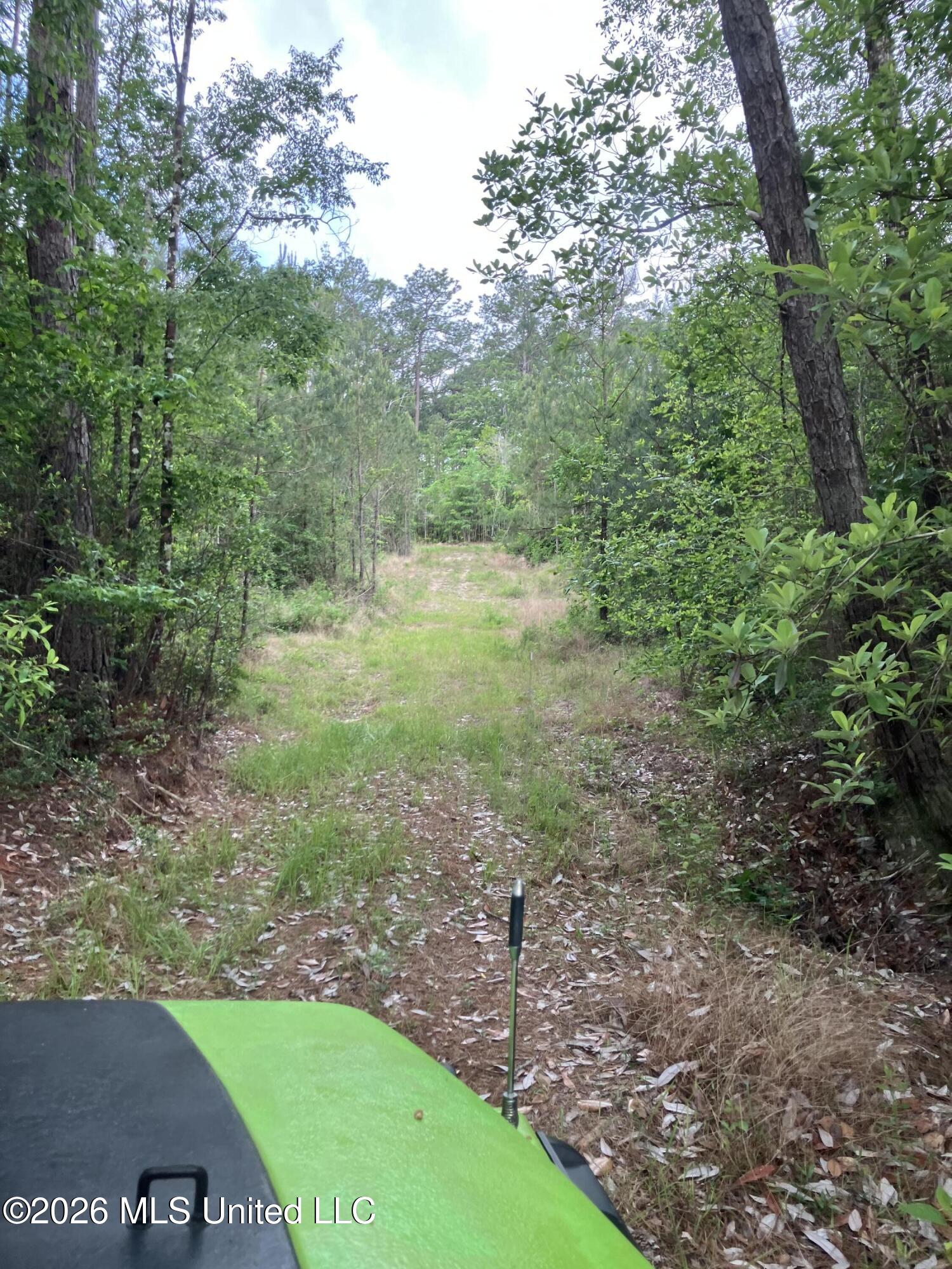 40 Acres Forestry Road 356 Property Photo 11