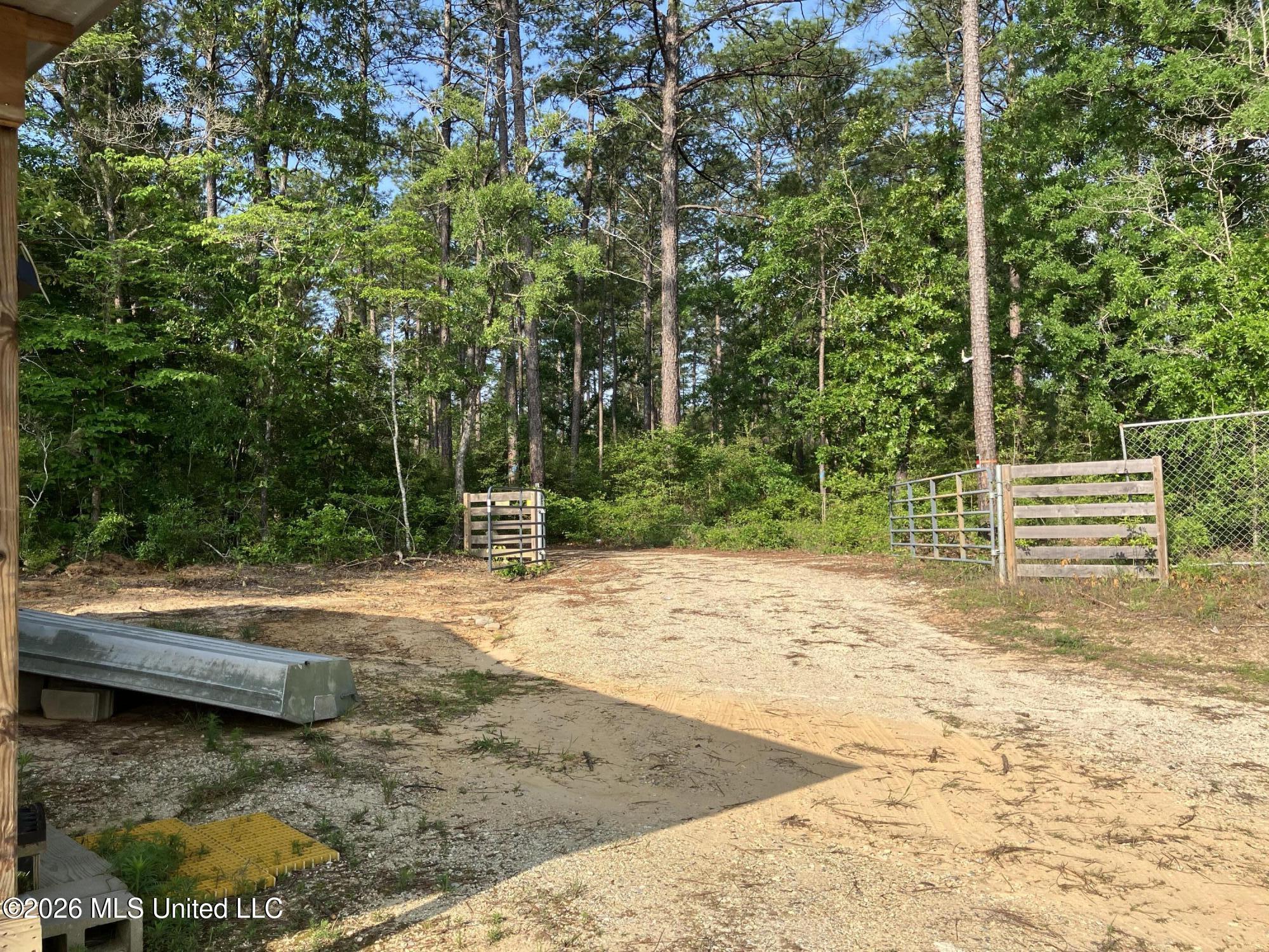 40 Acres Forestry Road 356 Property Photo 16