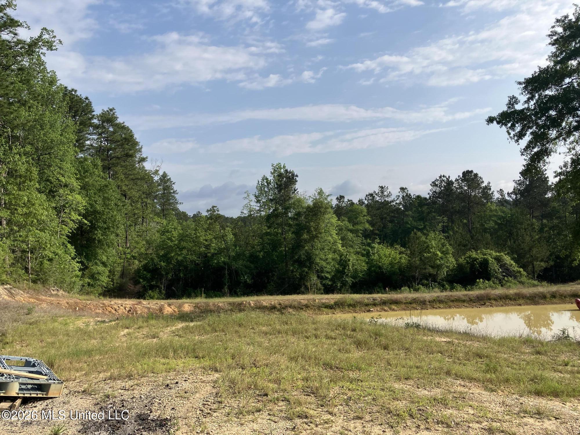 40 Acres Forestry Road 356 Property Photo 18