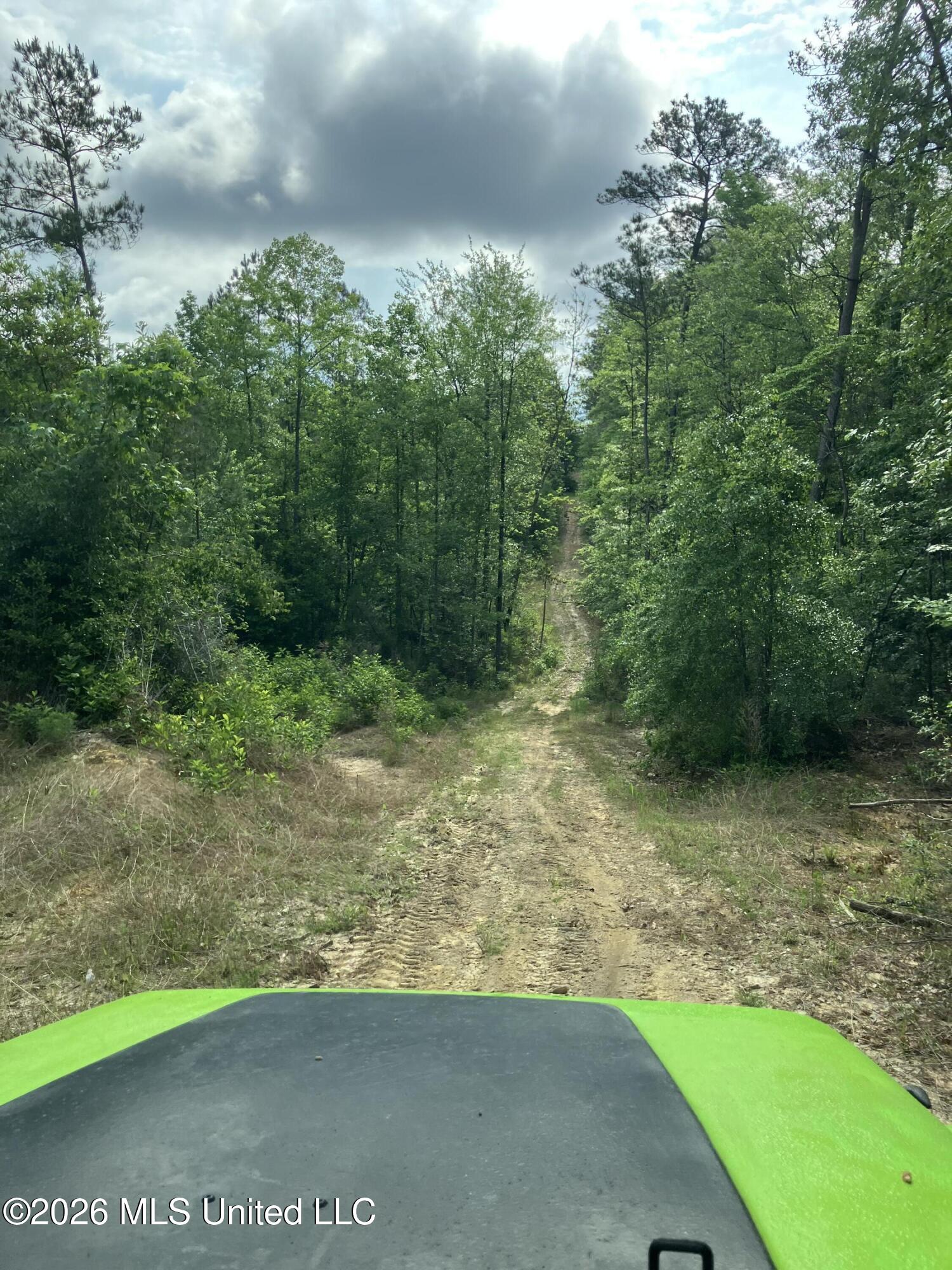 40 Acres Forestry Road 356 Property Photo 32