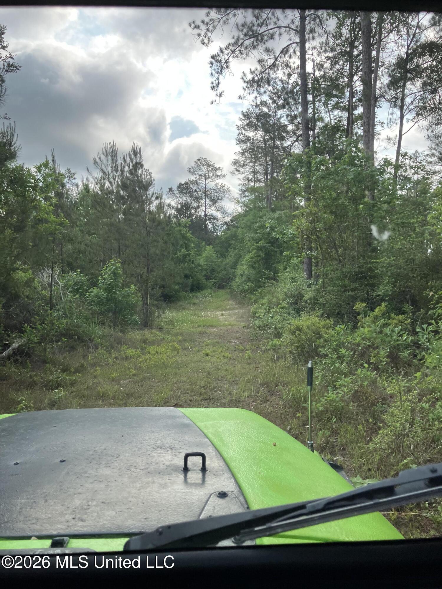 40 Acres Forestry Road 356 Property Photo 35