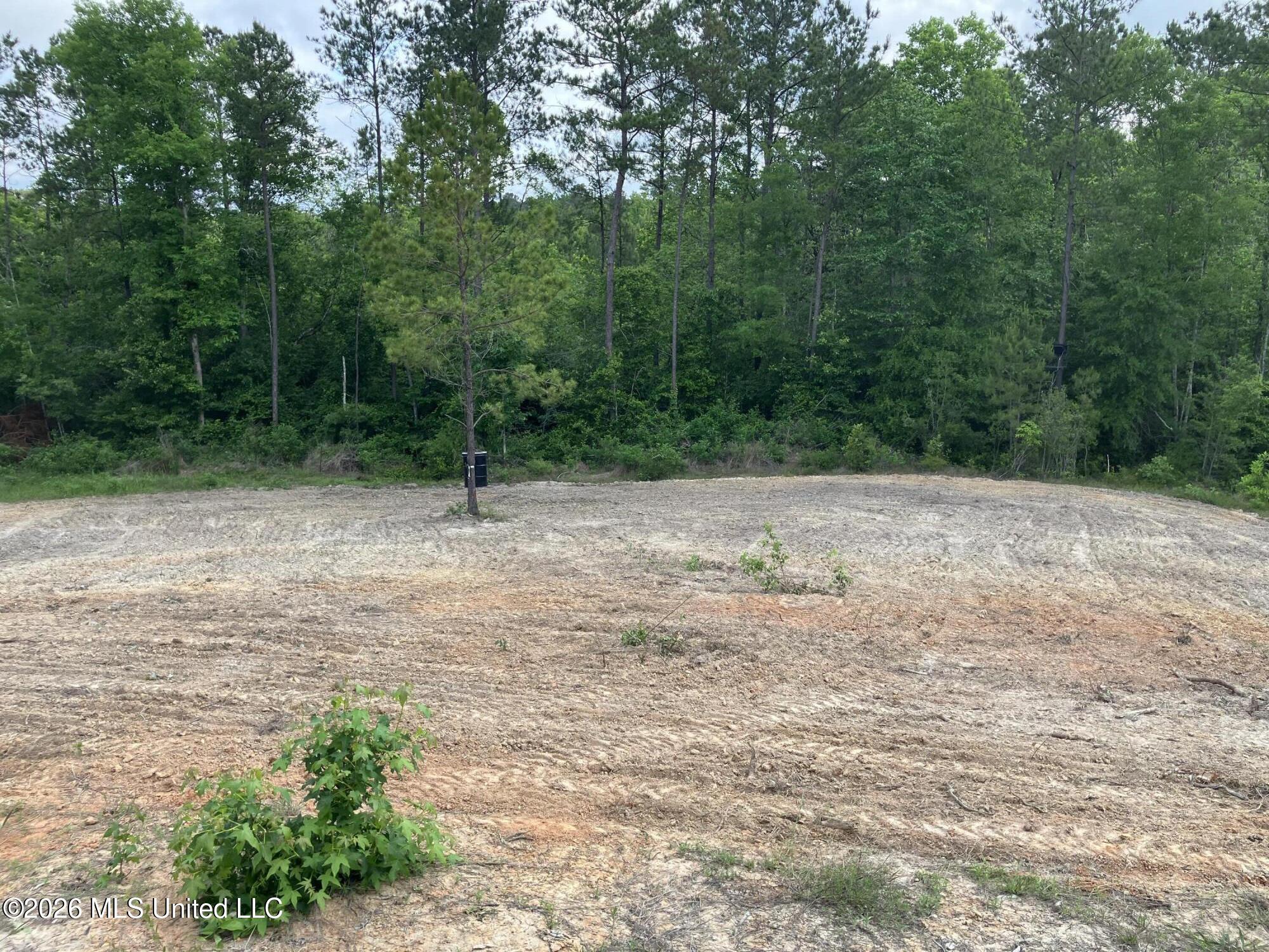 40 Acres Forestry Road 356 Property Photo 41