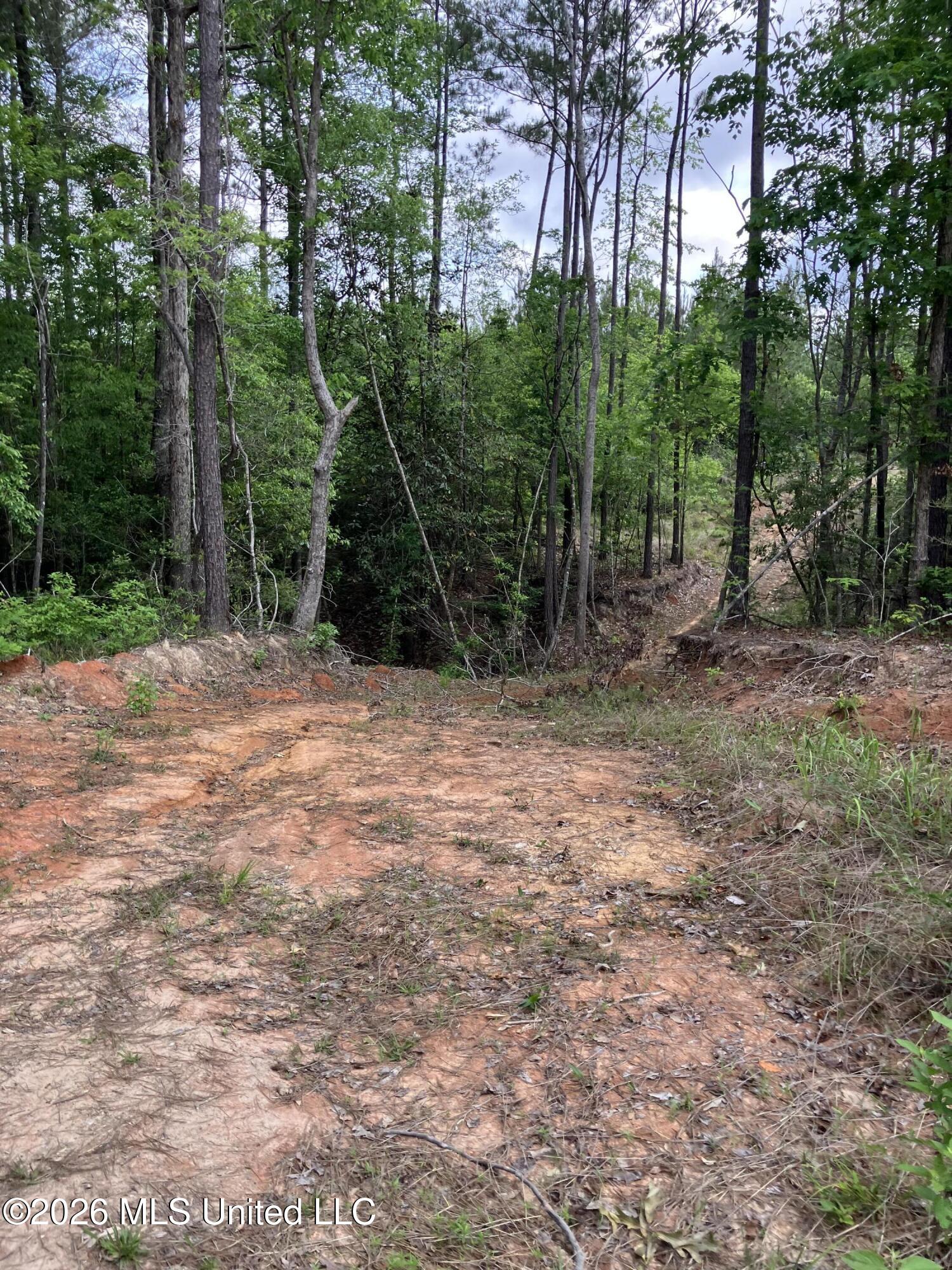 40 Acres Forestry Road 356 Property Photo 42