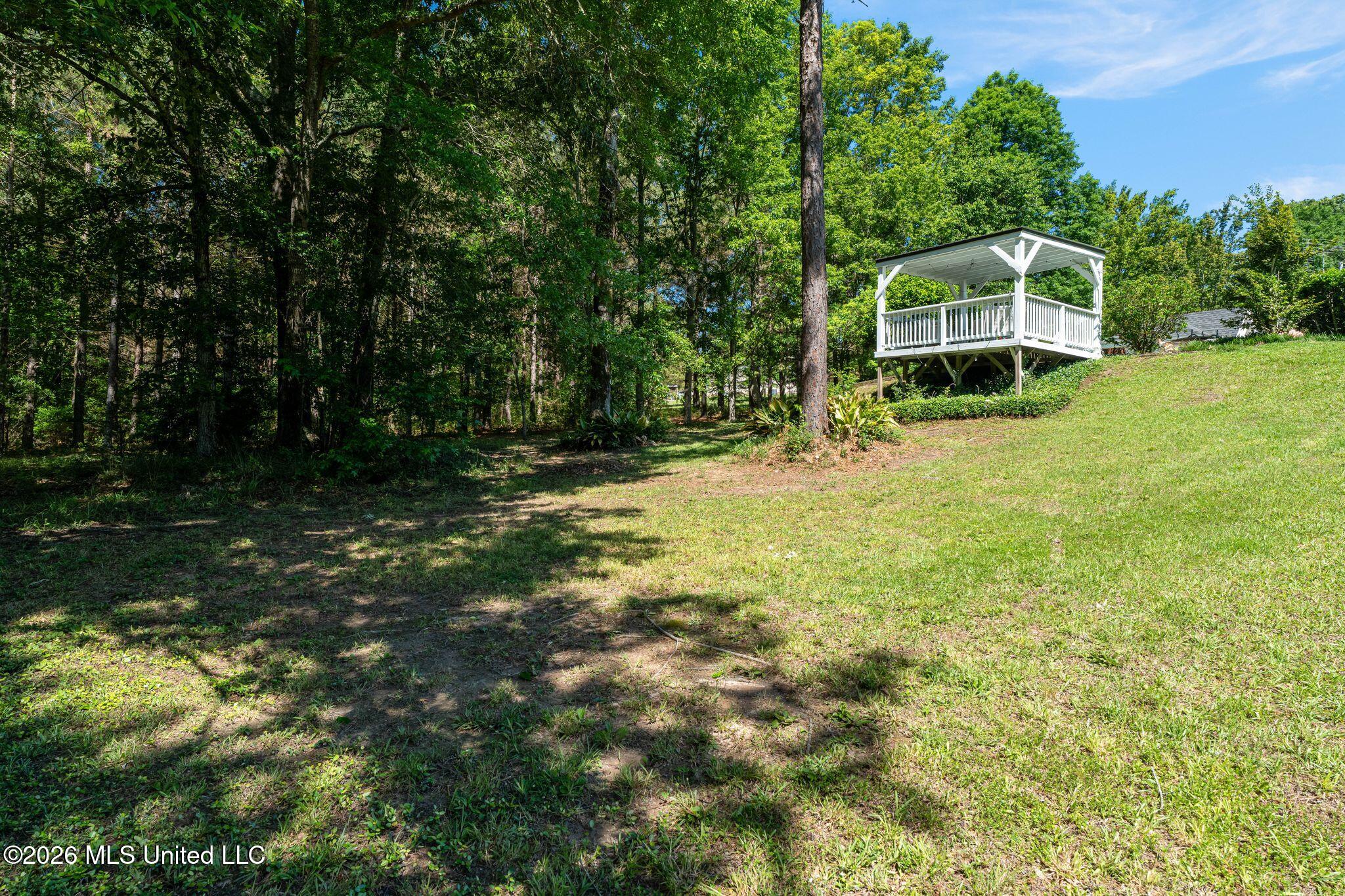 125 Rosebud Trail Property Photo 22