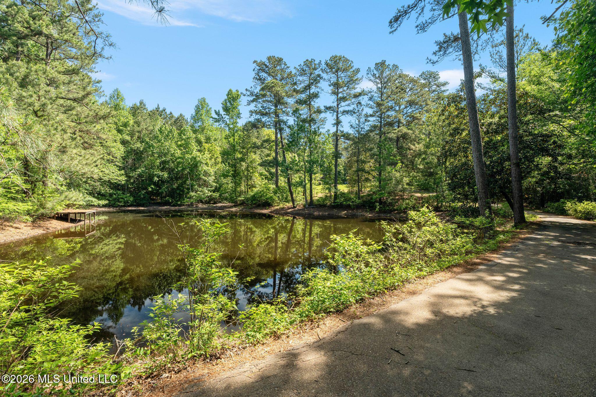 125 Rosebud Trail Property Photo 24