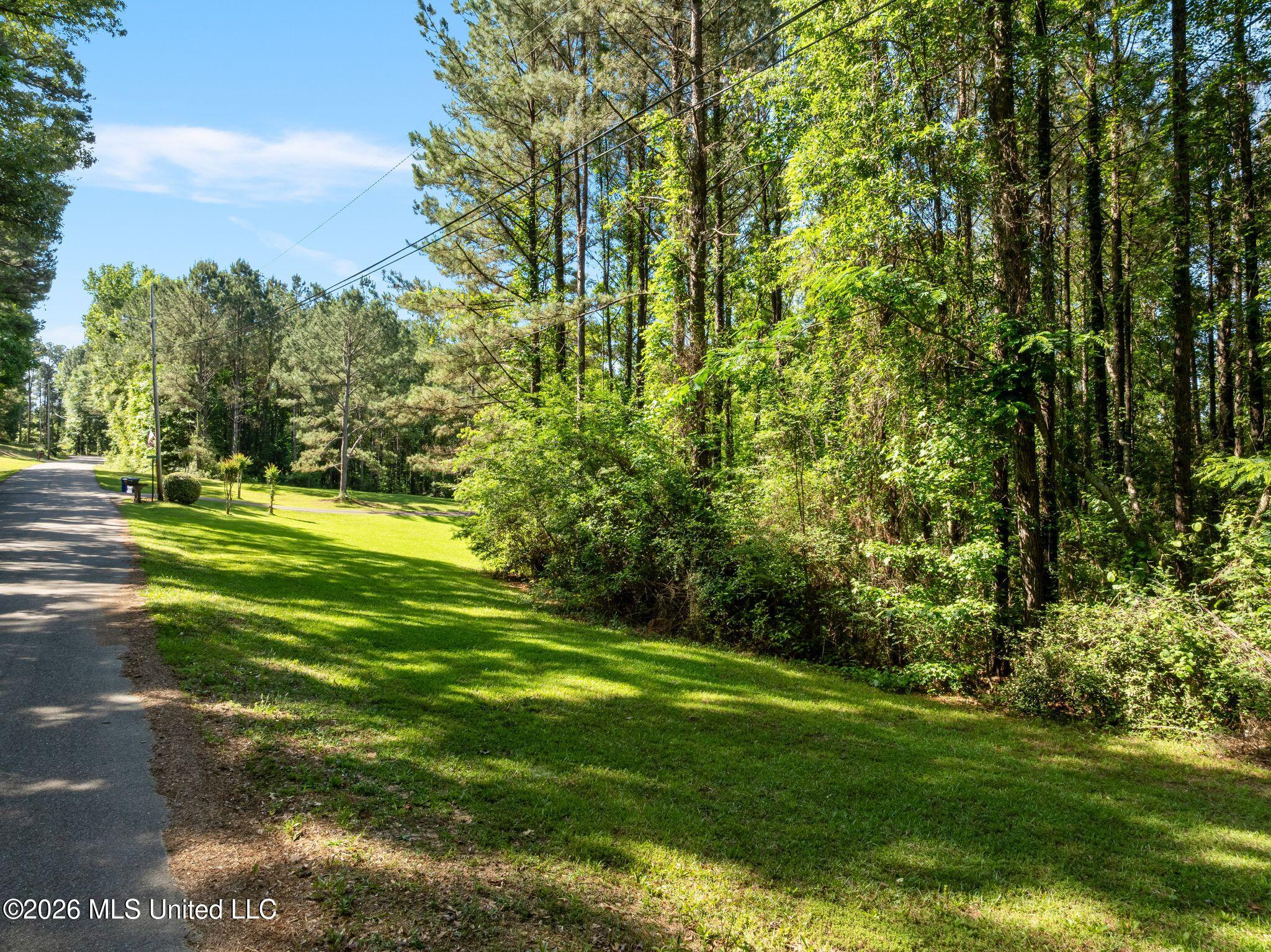 125 Rosebud Trail Property Photo 25