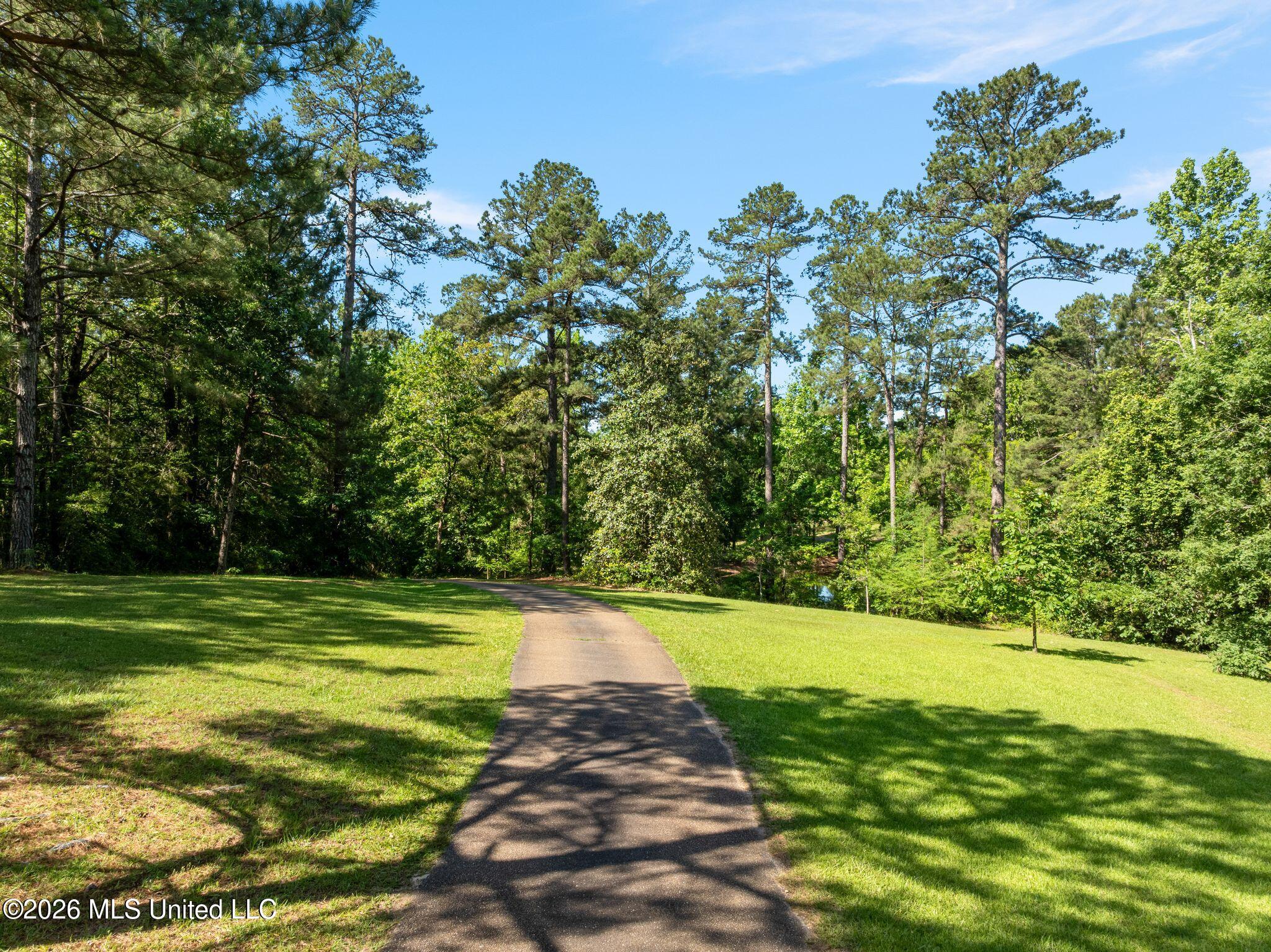 125 Rosebud Trail Property Photo 26
