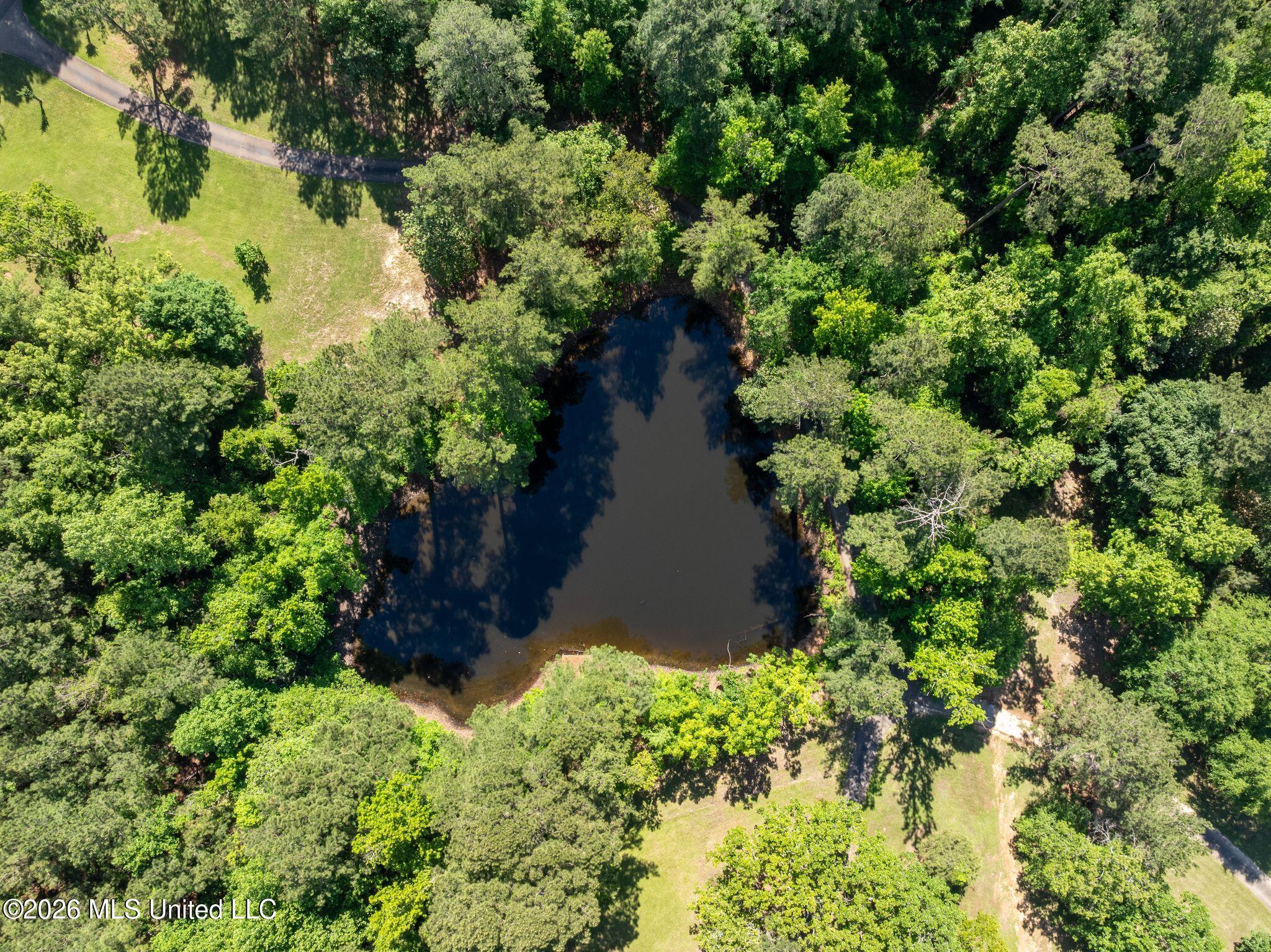 125 Rosebud Trail Property Photo 29