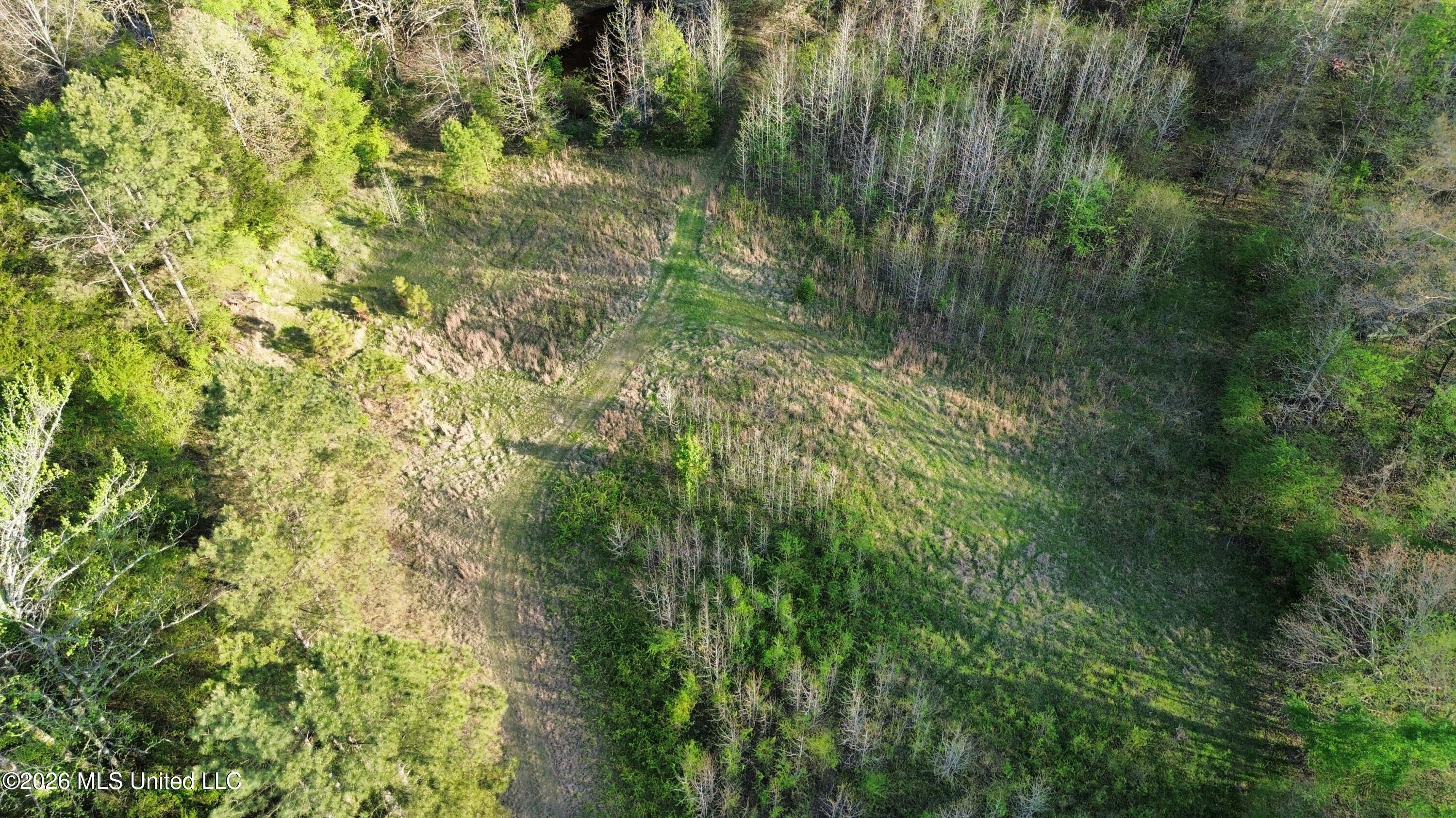 3581 Countyline Tate Road Property Photo 6