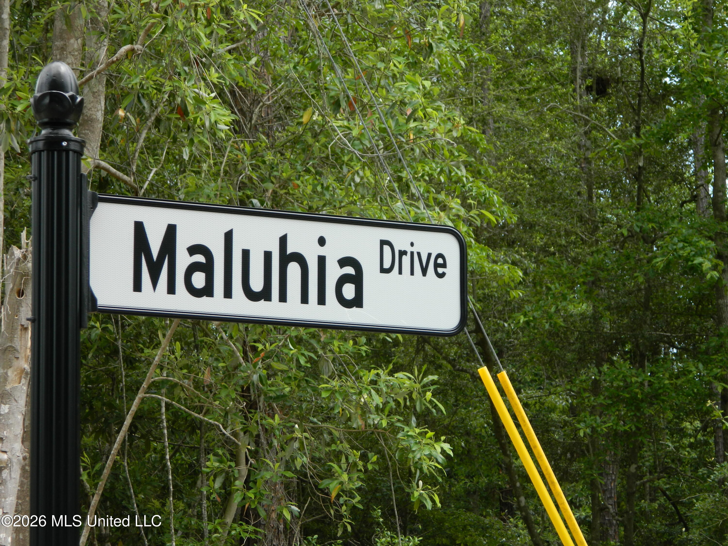 6430 Maluhia Drive Property Photo 2